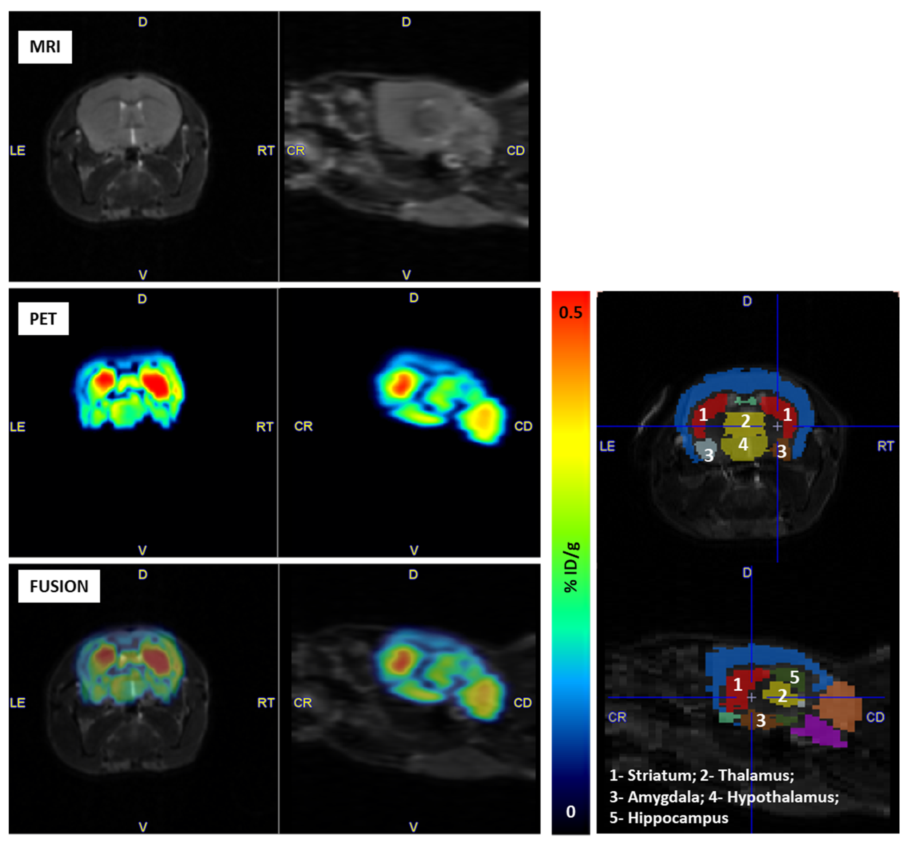 Pharmaceuticals 17 00474 g007