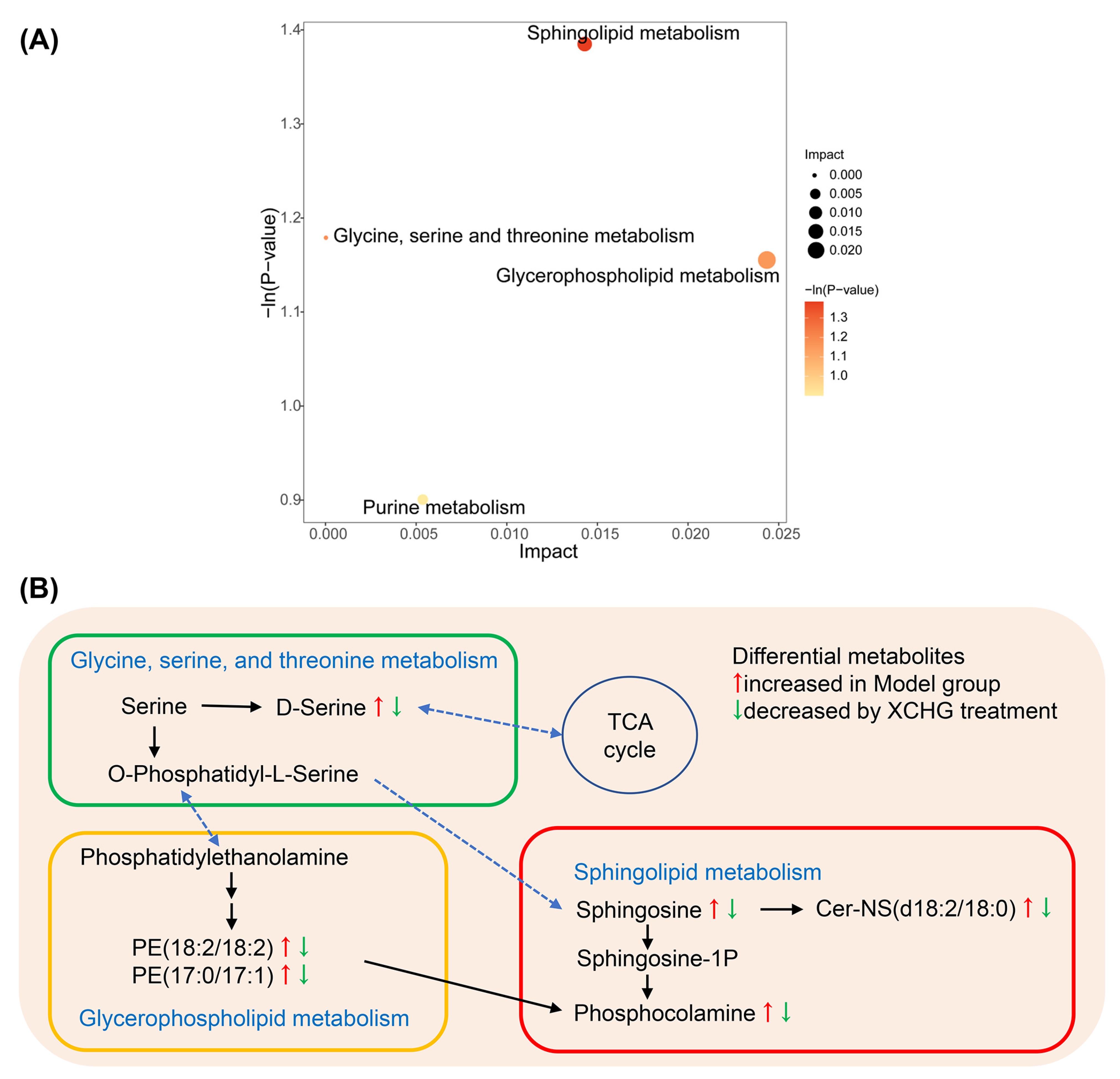 Pharmaceuticals 17 00475 g011