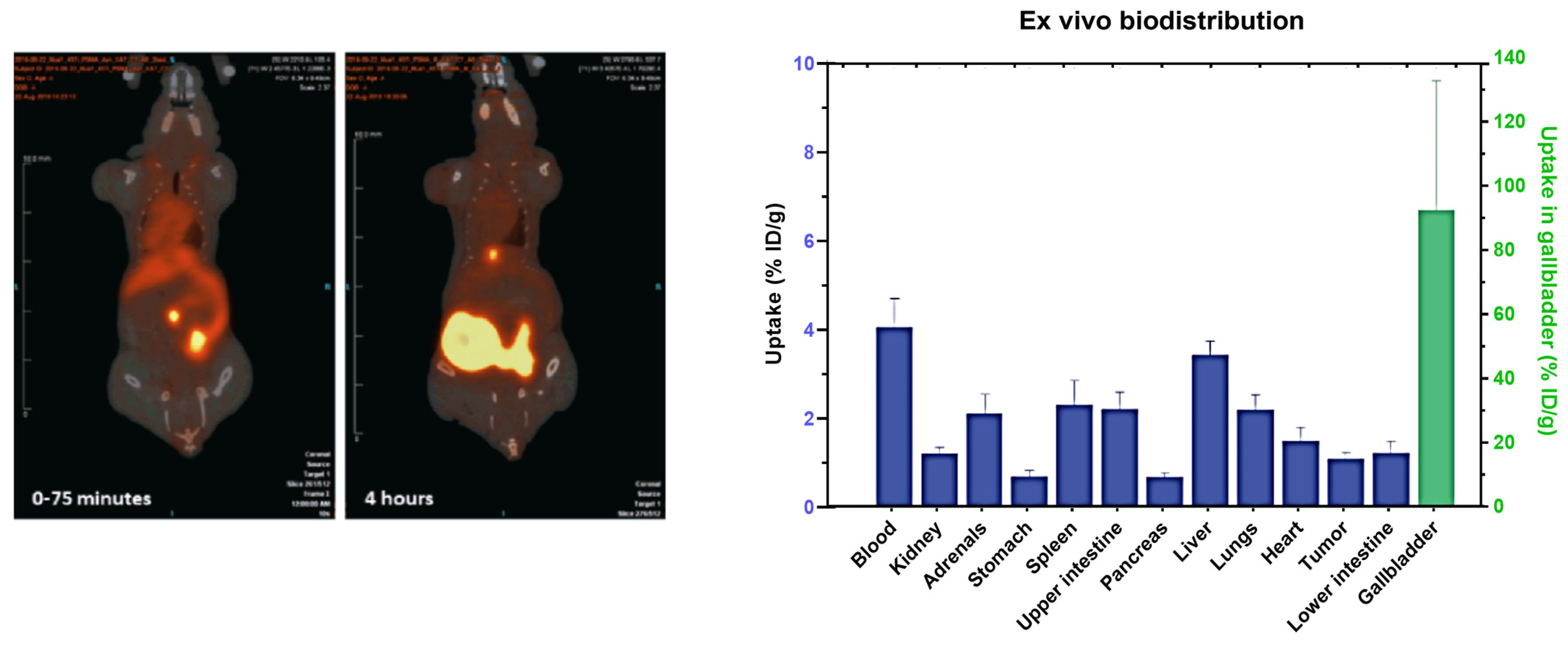 Pharmaceuticals 17 00479 g004