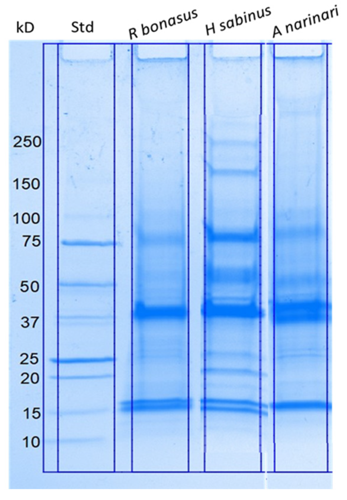 Pharmaceuticals 17 00488 g001
