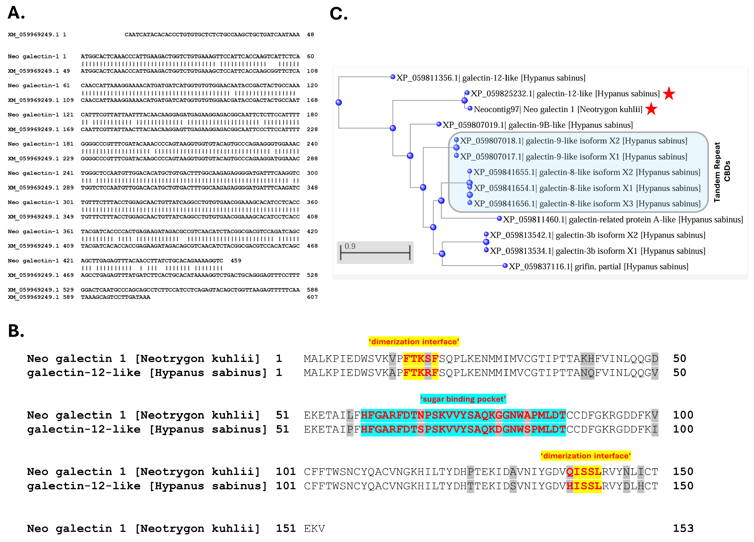 Pharmaceuticals 17 00488 g009