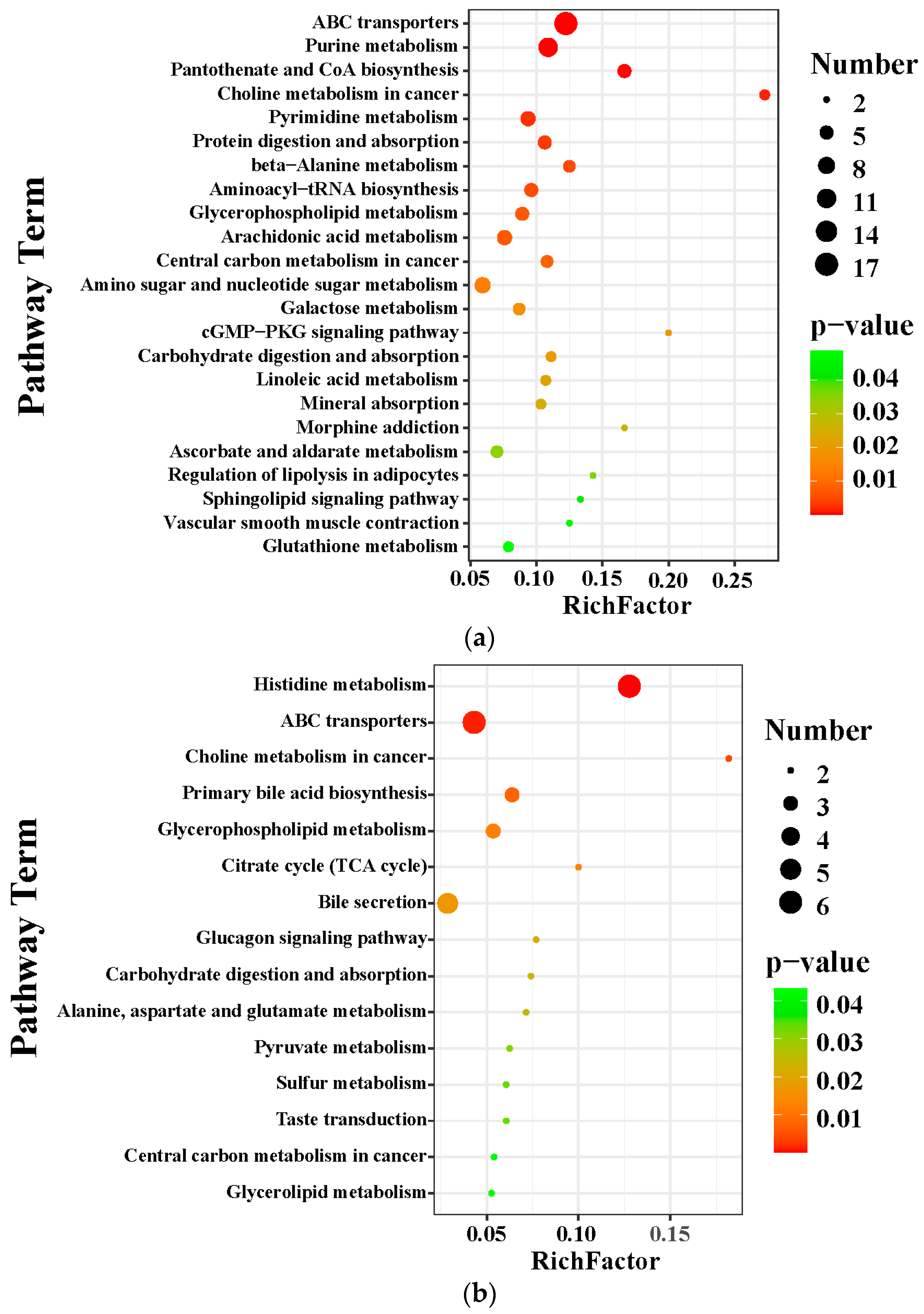 Pharmaceuticals 17 00502 g007a