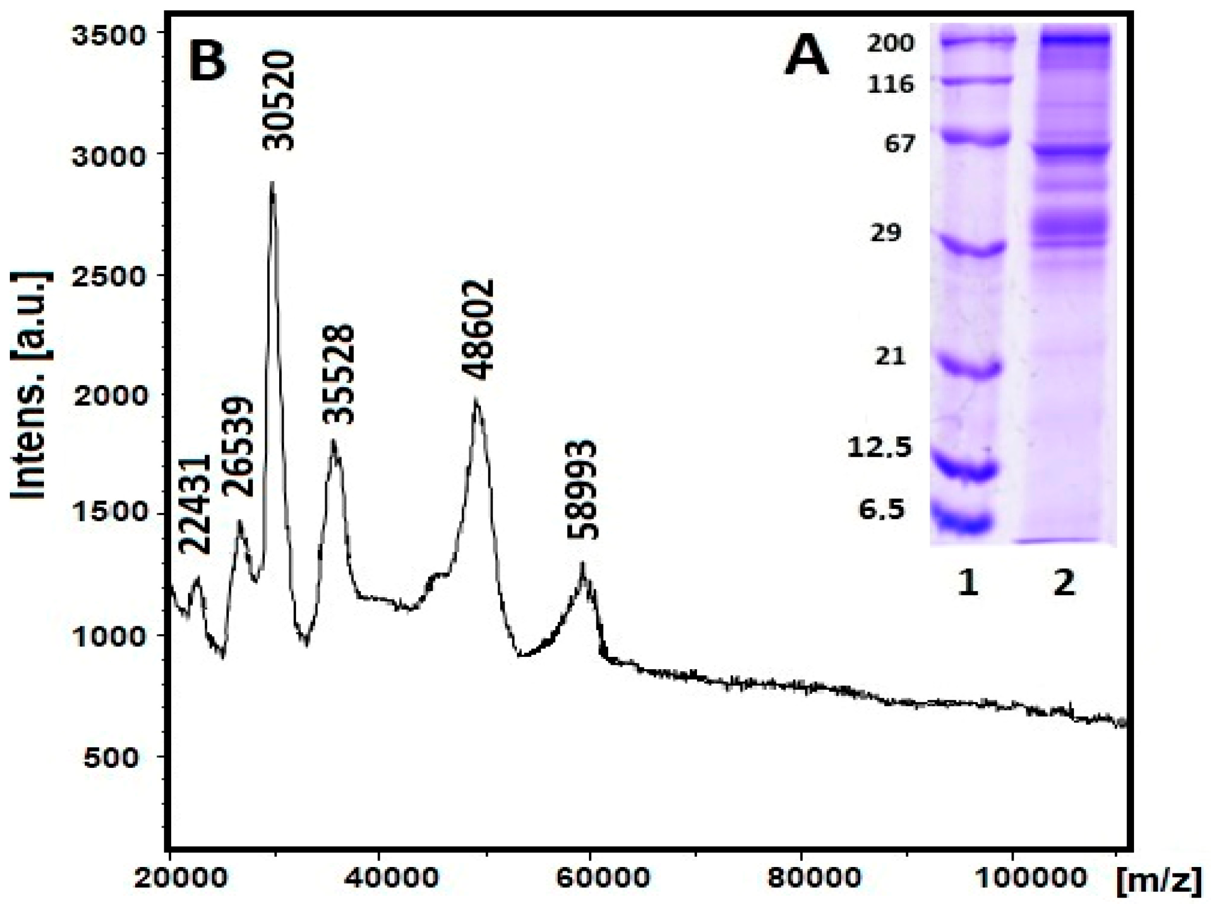 Pharmaceuticals 17 00506 g002