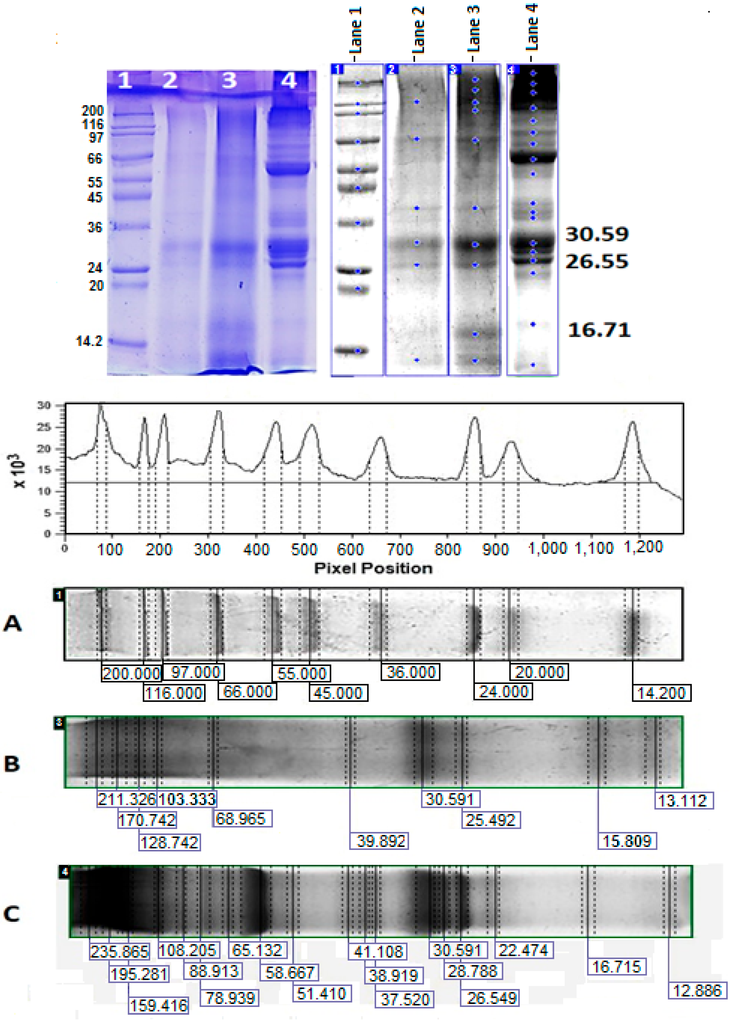 Pharmaceuticals 17 00506 g011