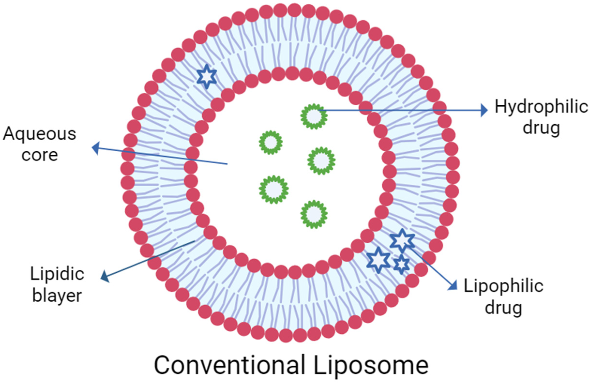 Pharmaceuticals 17 00511 g001