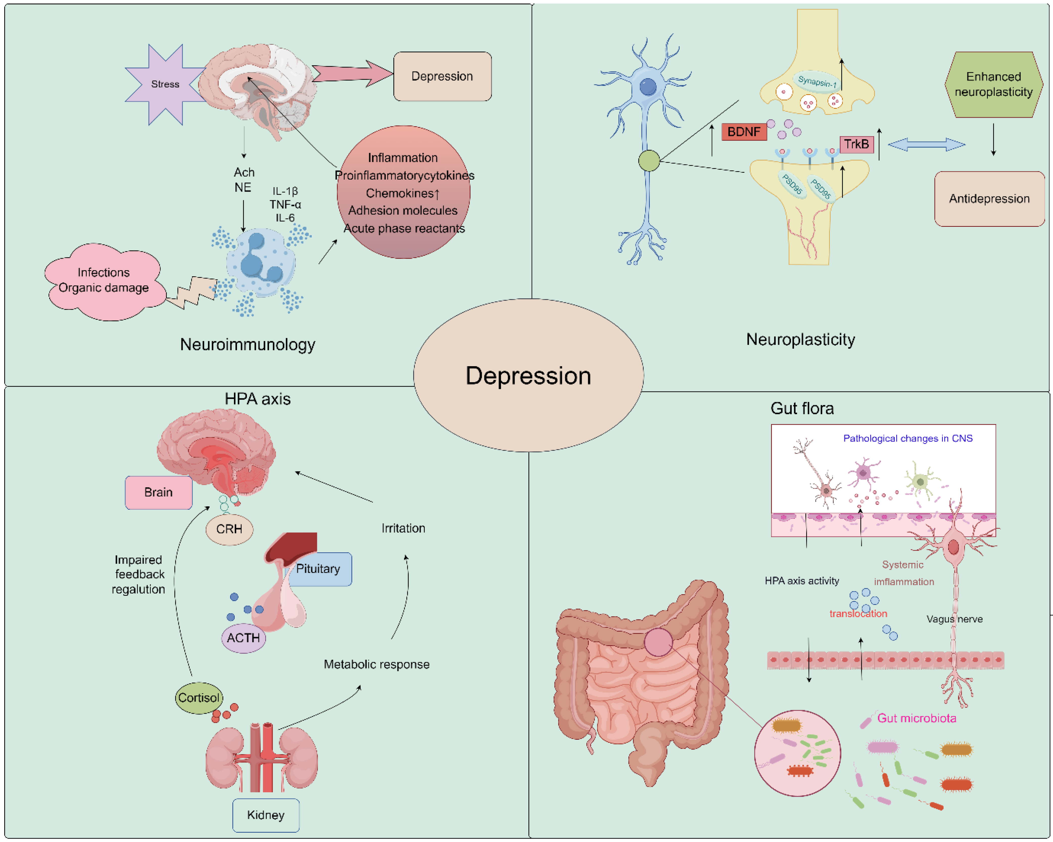 Pharmaceuticals 17 00512 g001