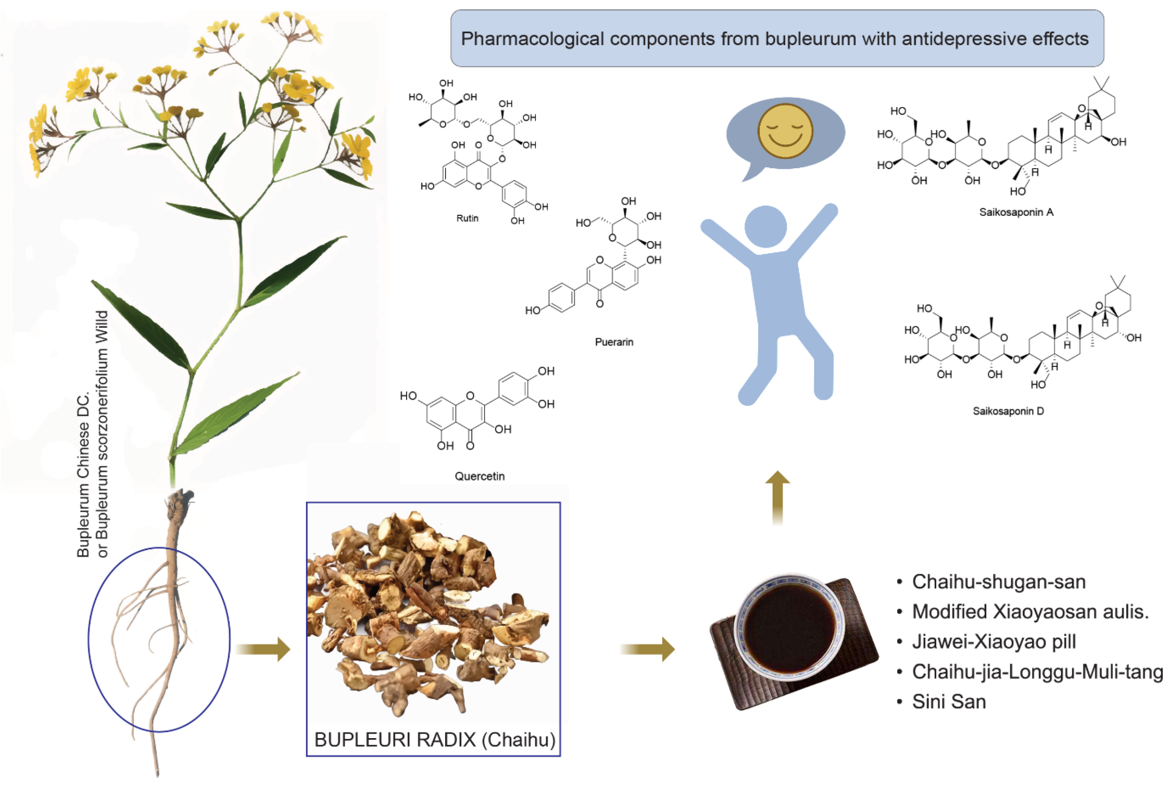 Pharmaceuticals 17 00512 g004