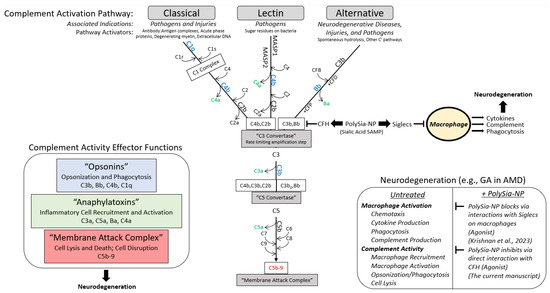 Pharmaceuticals 17 00517 g001