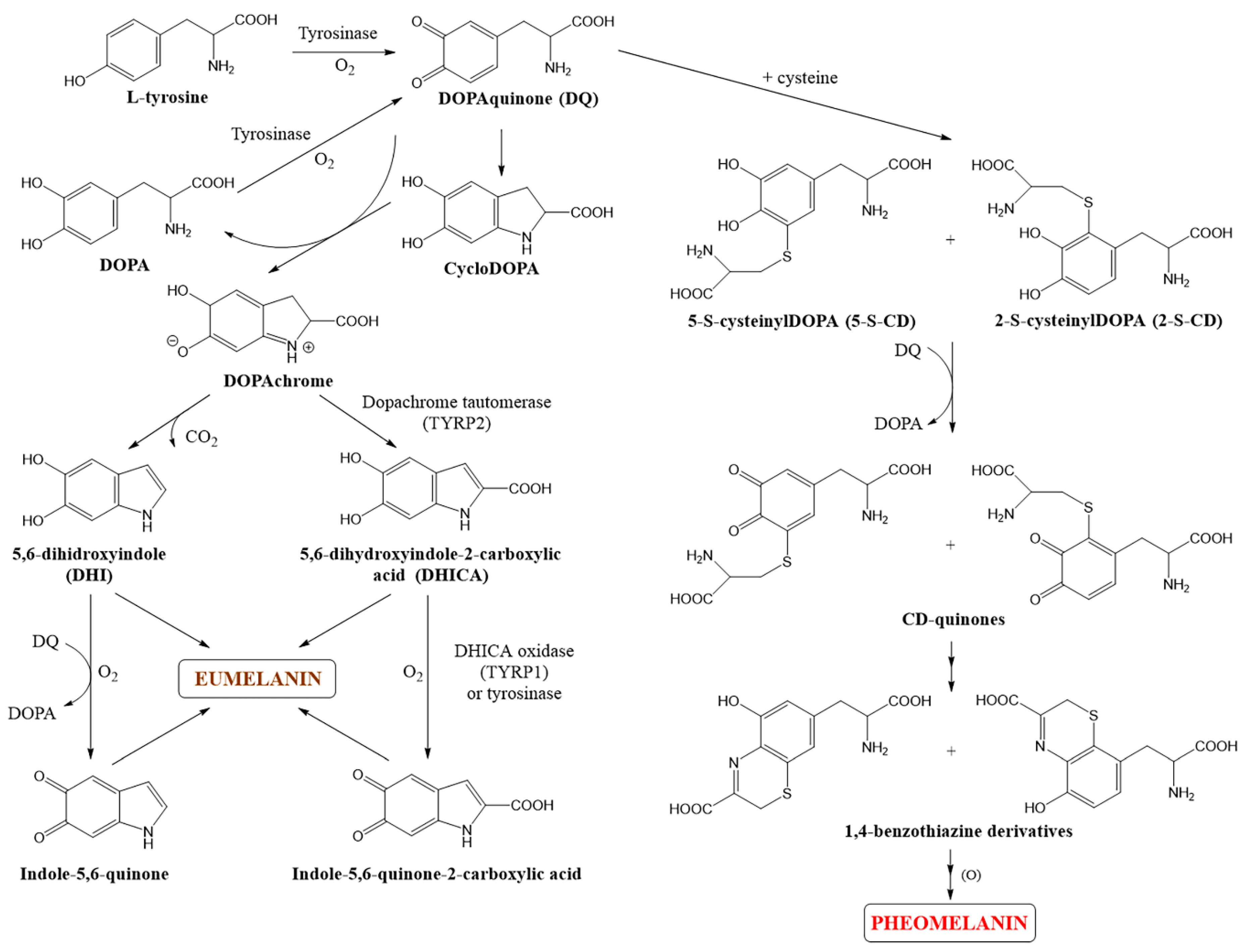 Pharmaceuticals 17 00521 g002