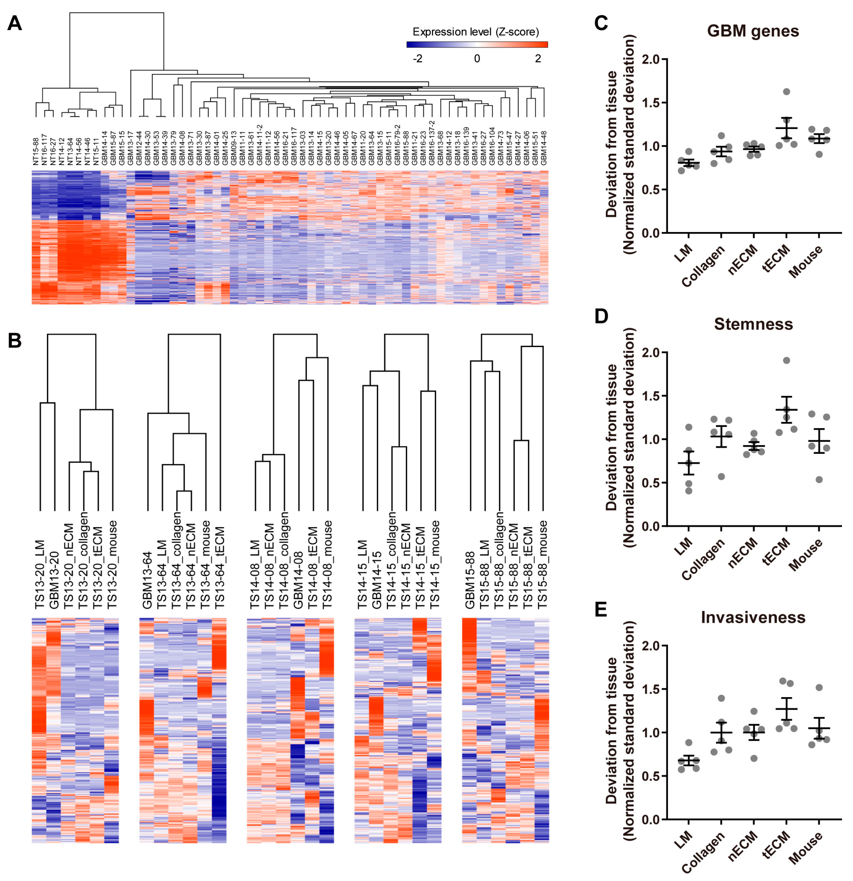 Pharmaceuticals 17 00529 g002