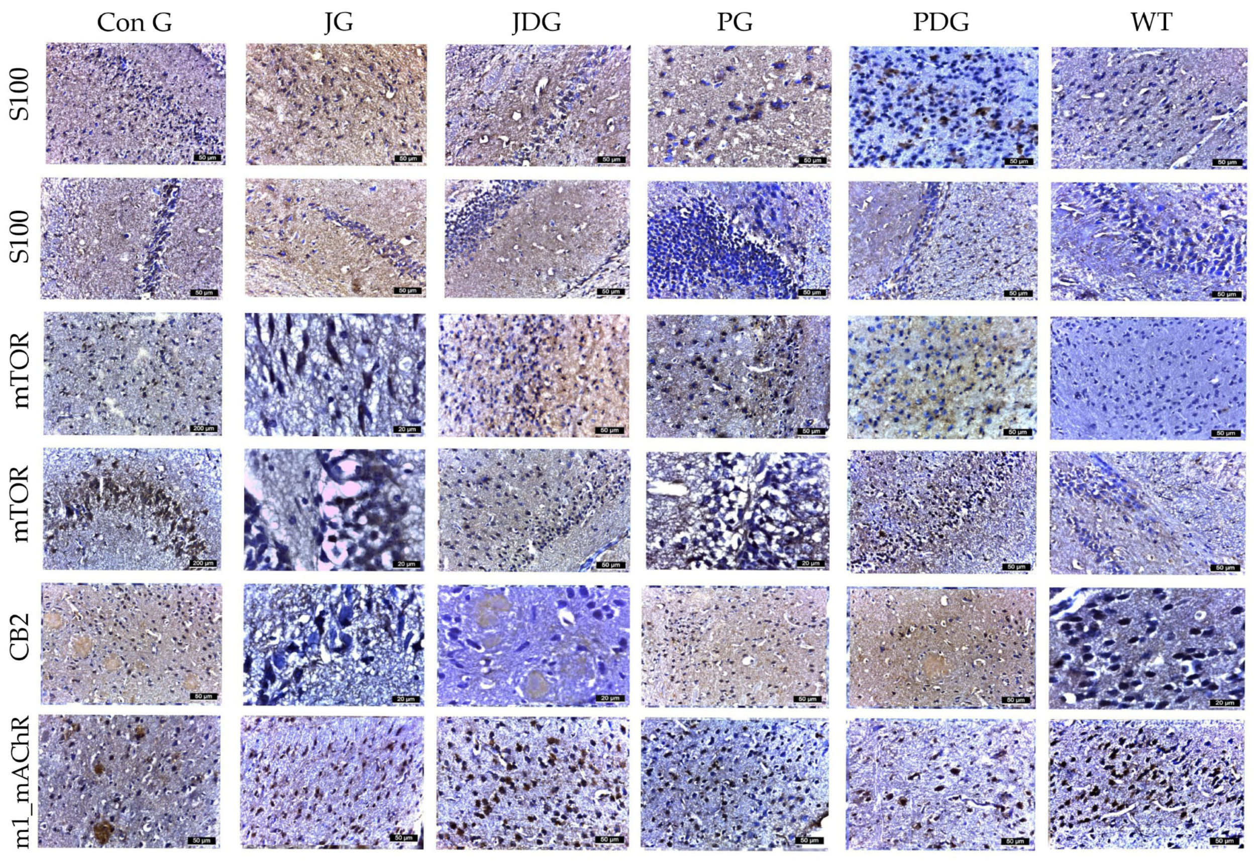 Pharmaceuticals 17 00530 g006