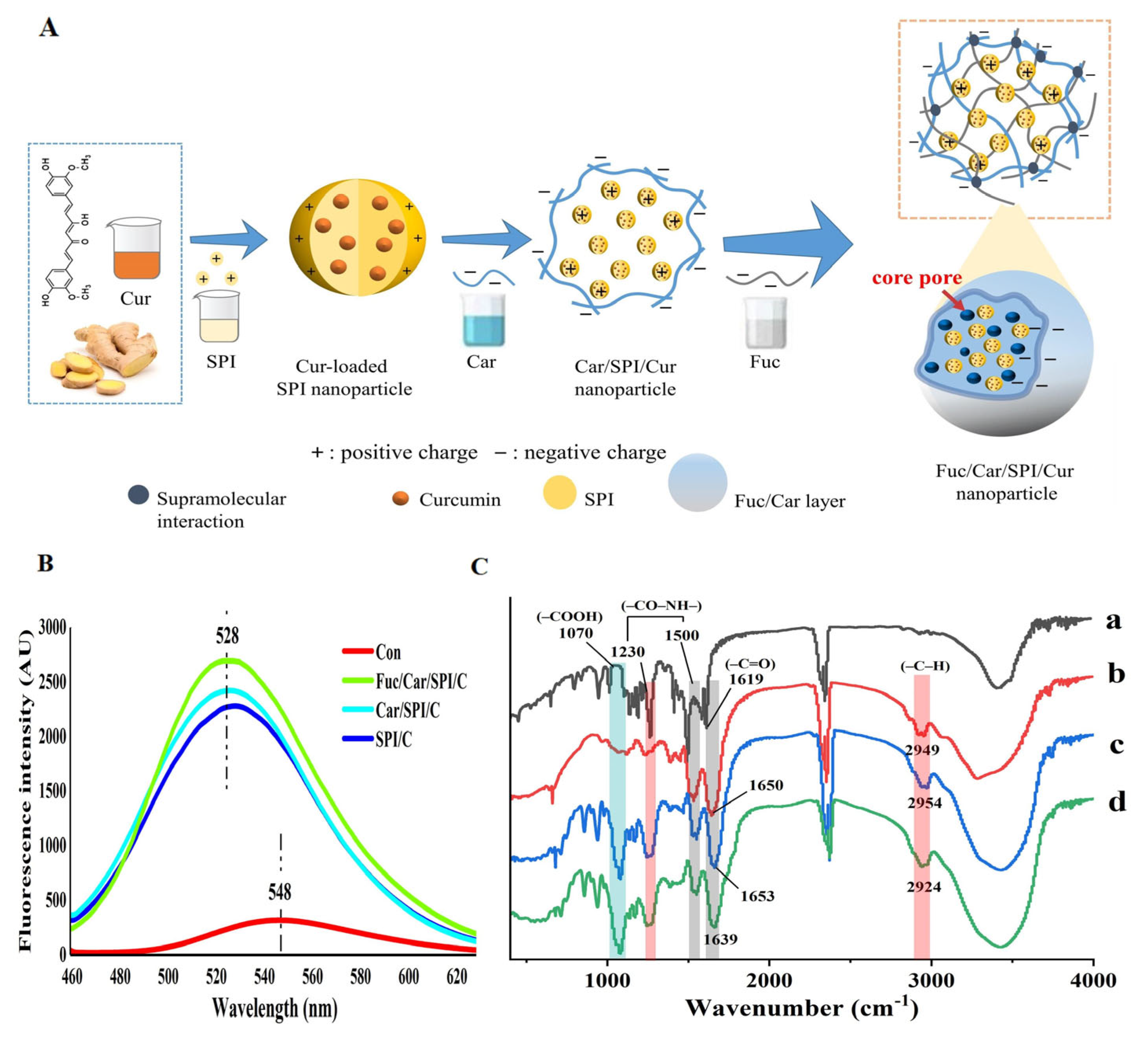 Pharmaceuticals 17 00534 g003
