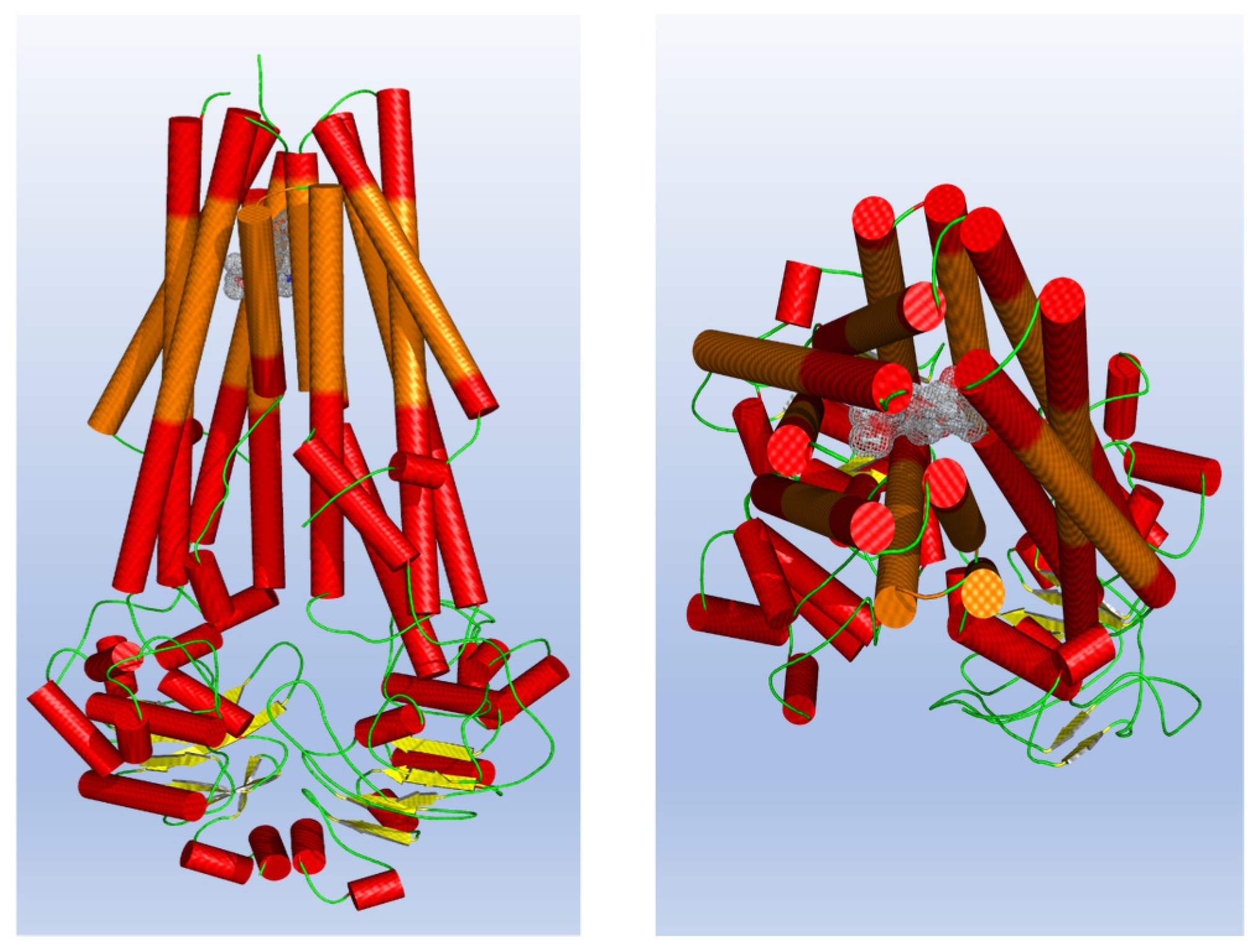 Pharmaceuticals 17 00539 g003