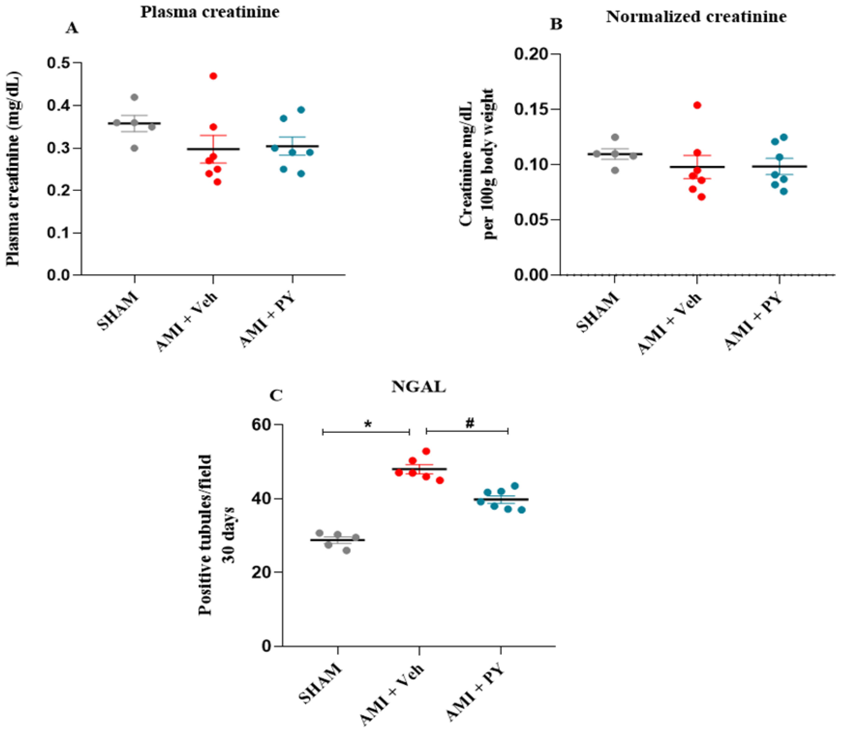 Pharmaceuticals 17 00547 g001