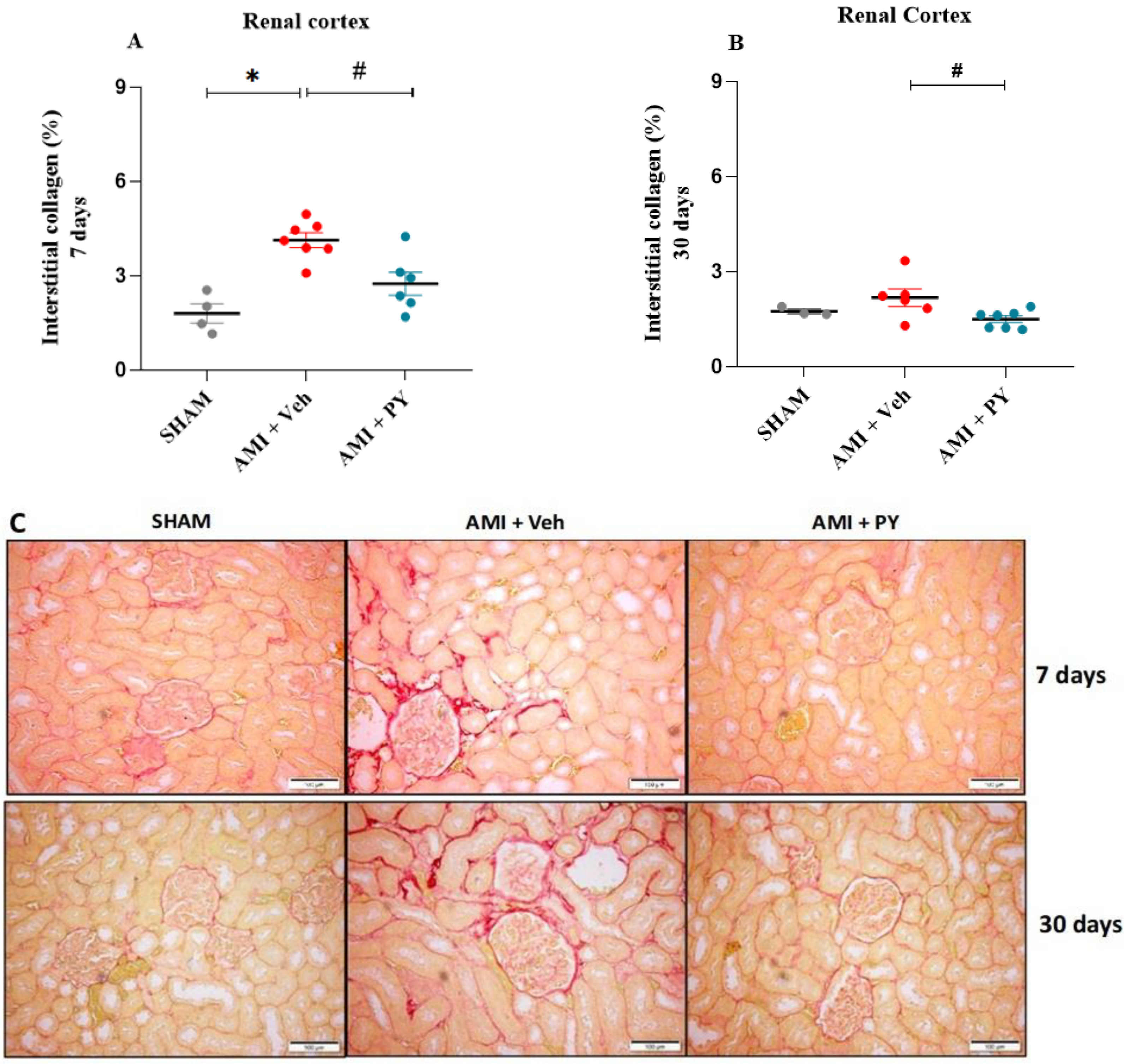 Pharmaceuticals 17 00547 g002