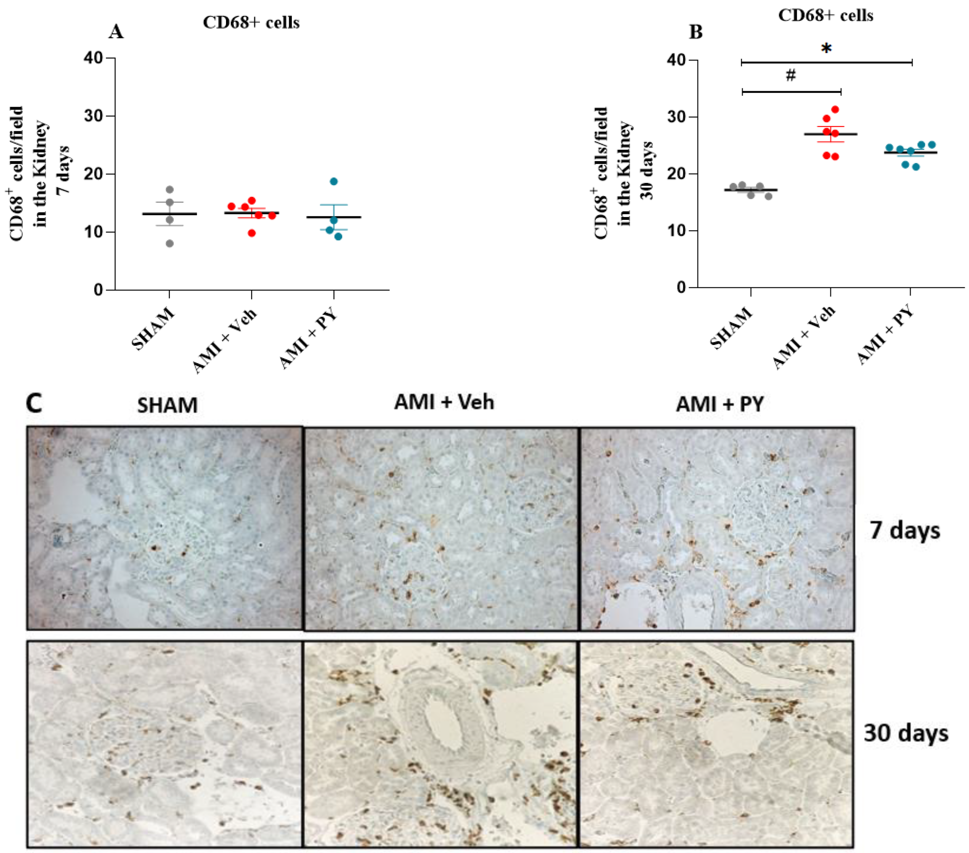 Pharmaceuticals 17 00547 g003