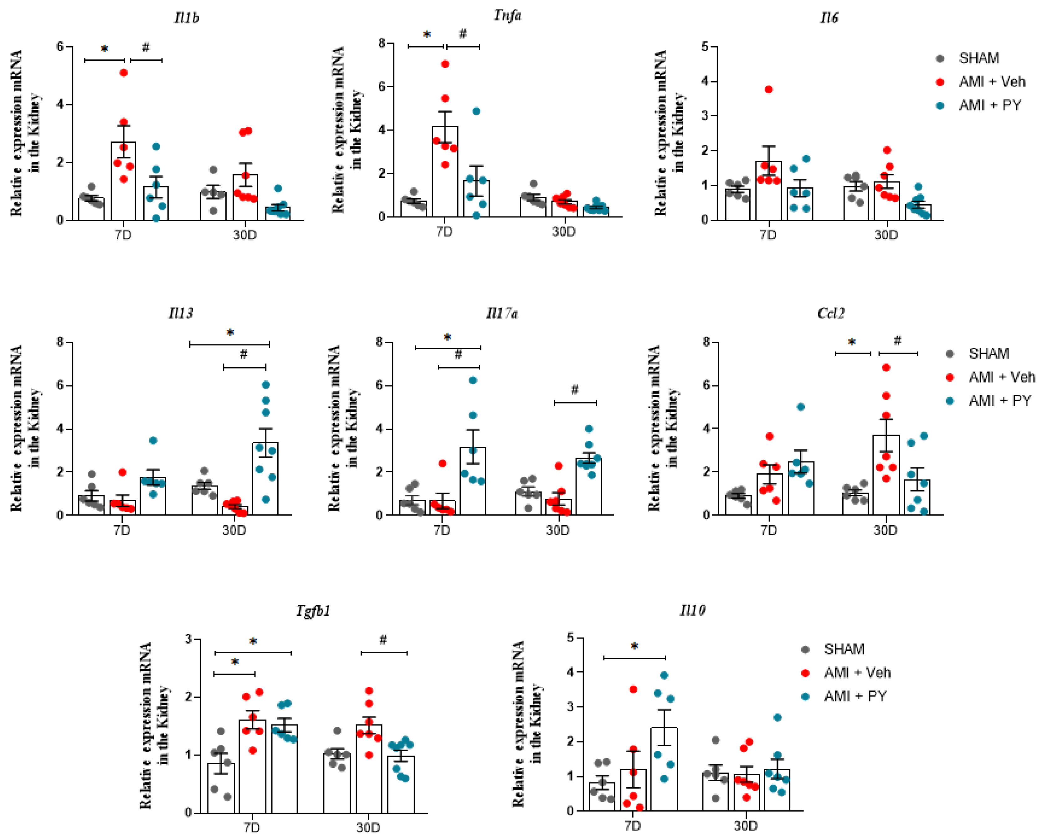 Pharmaceuticals 17 00547 g004