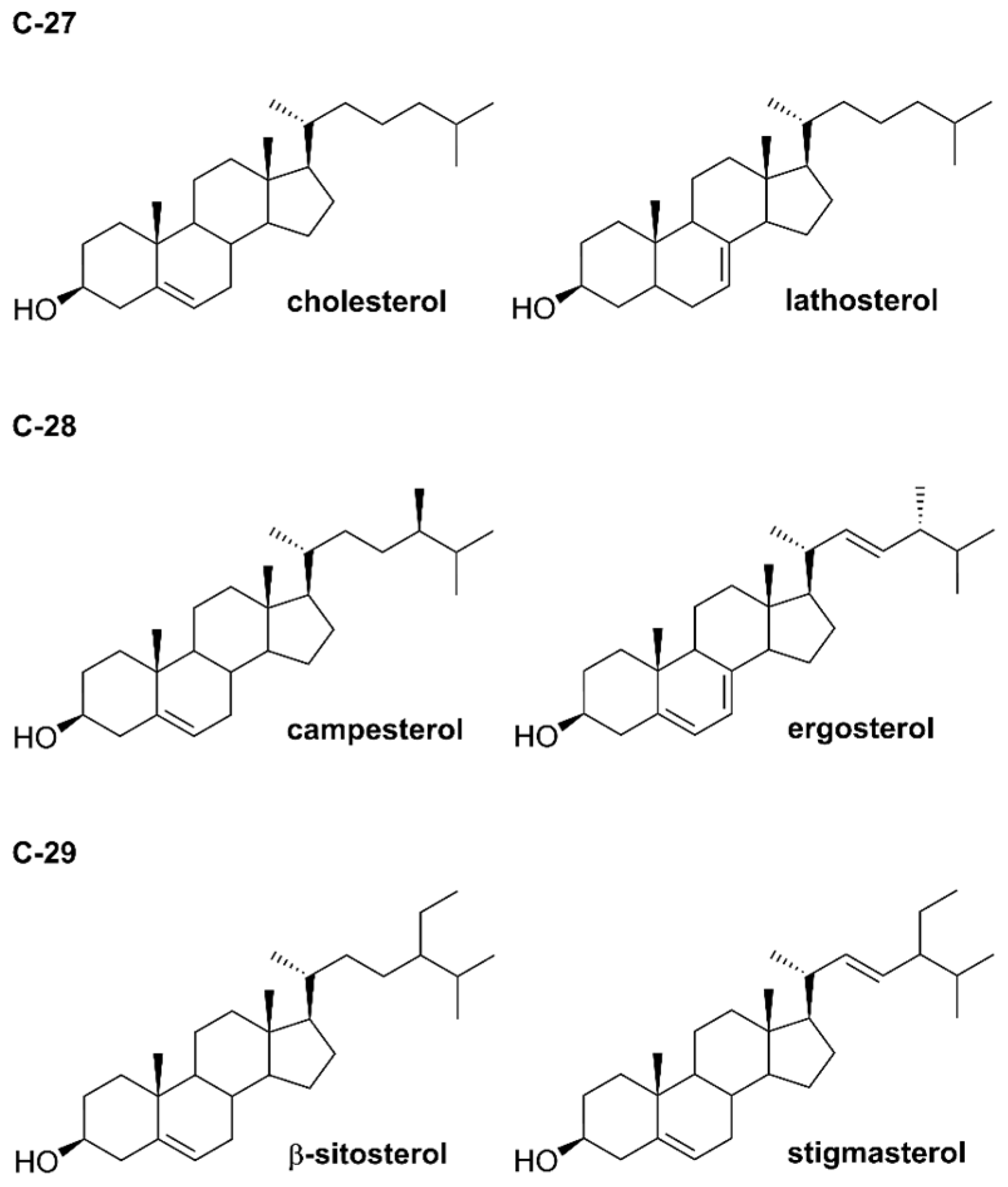 Pharmaceuticals 17 00557 g001 Pharmaceuticals 17 00557 g001