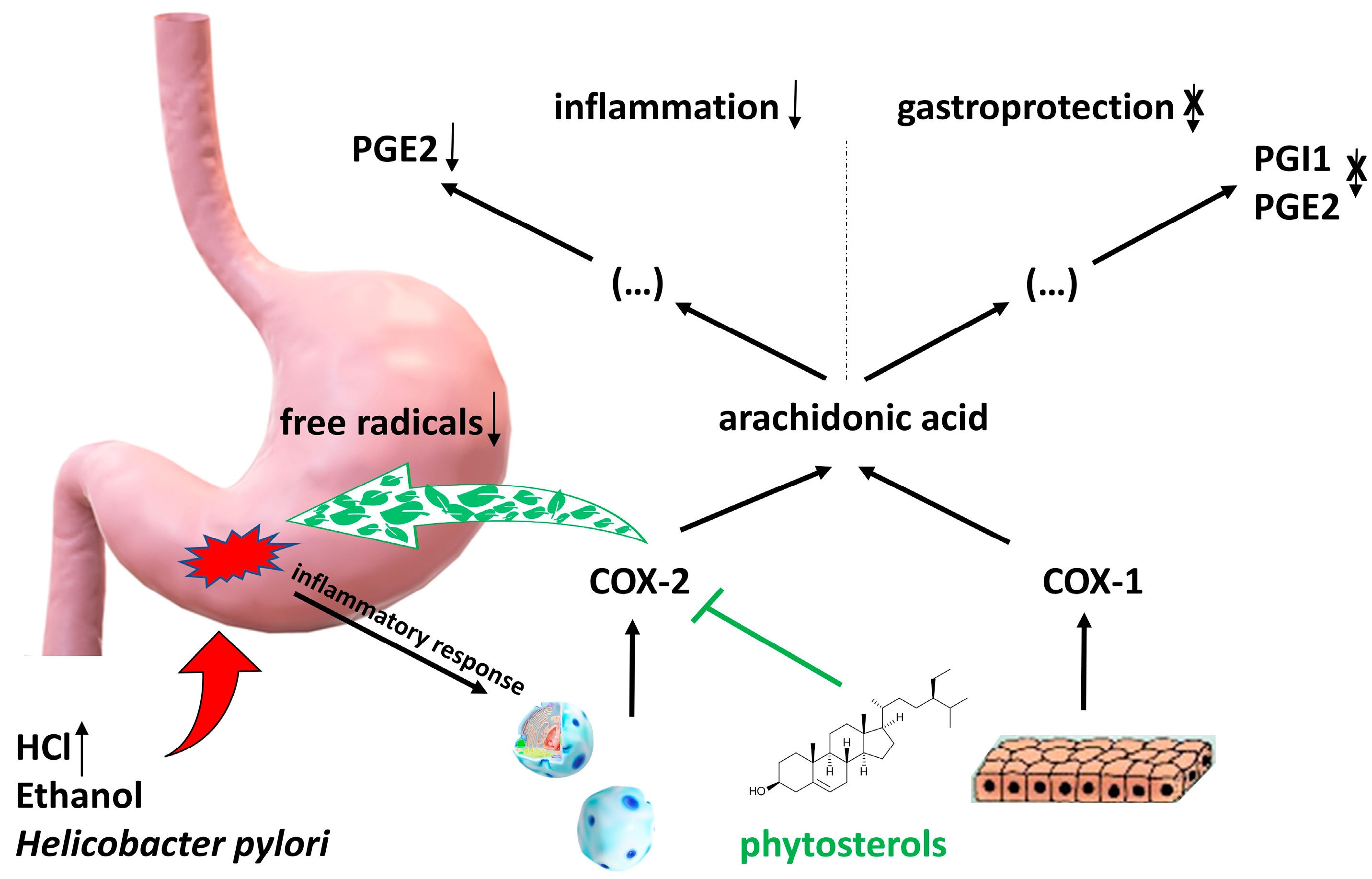 Pharmaceuticals 17 00557 g002 Pharmaceuticals 17 00557 g002