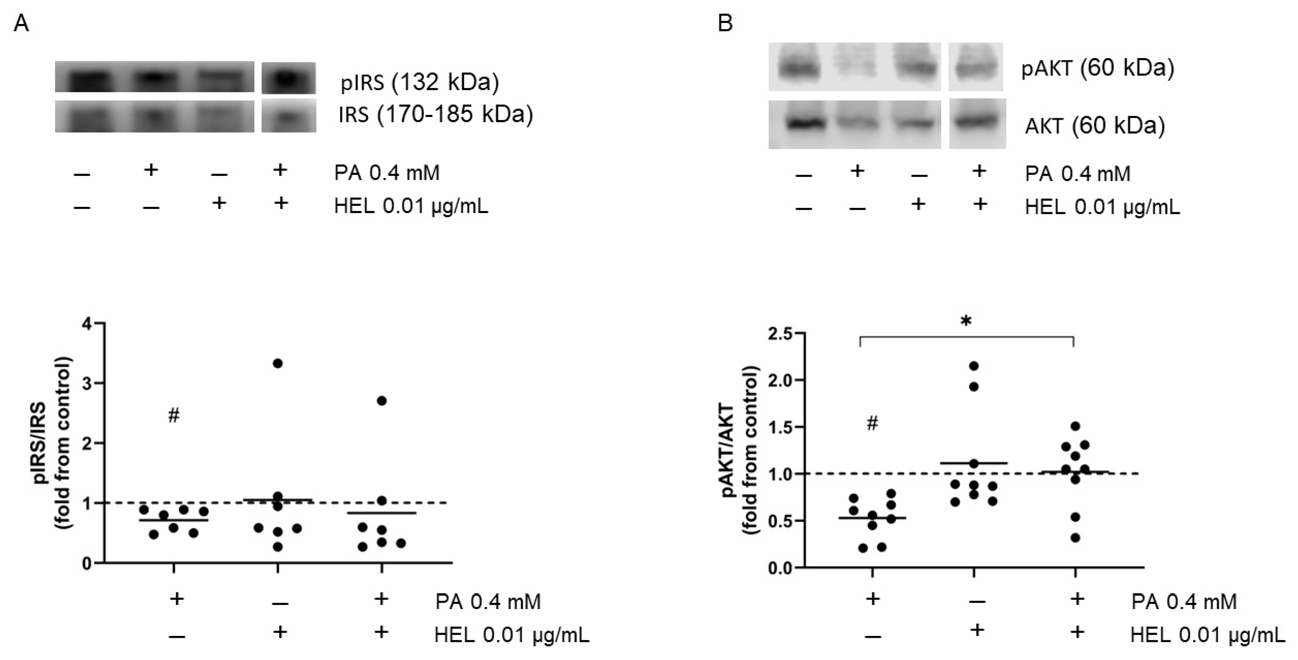 Pharmaceuticals 17 00566 g003a