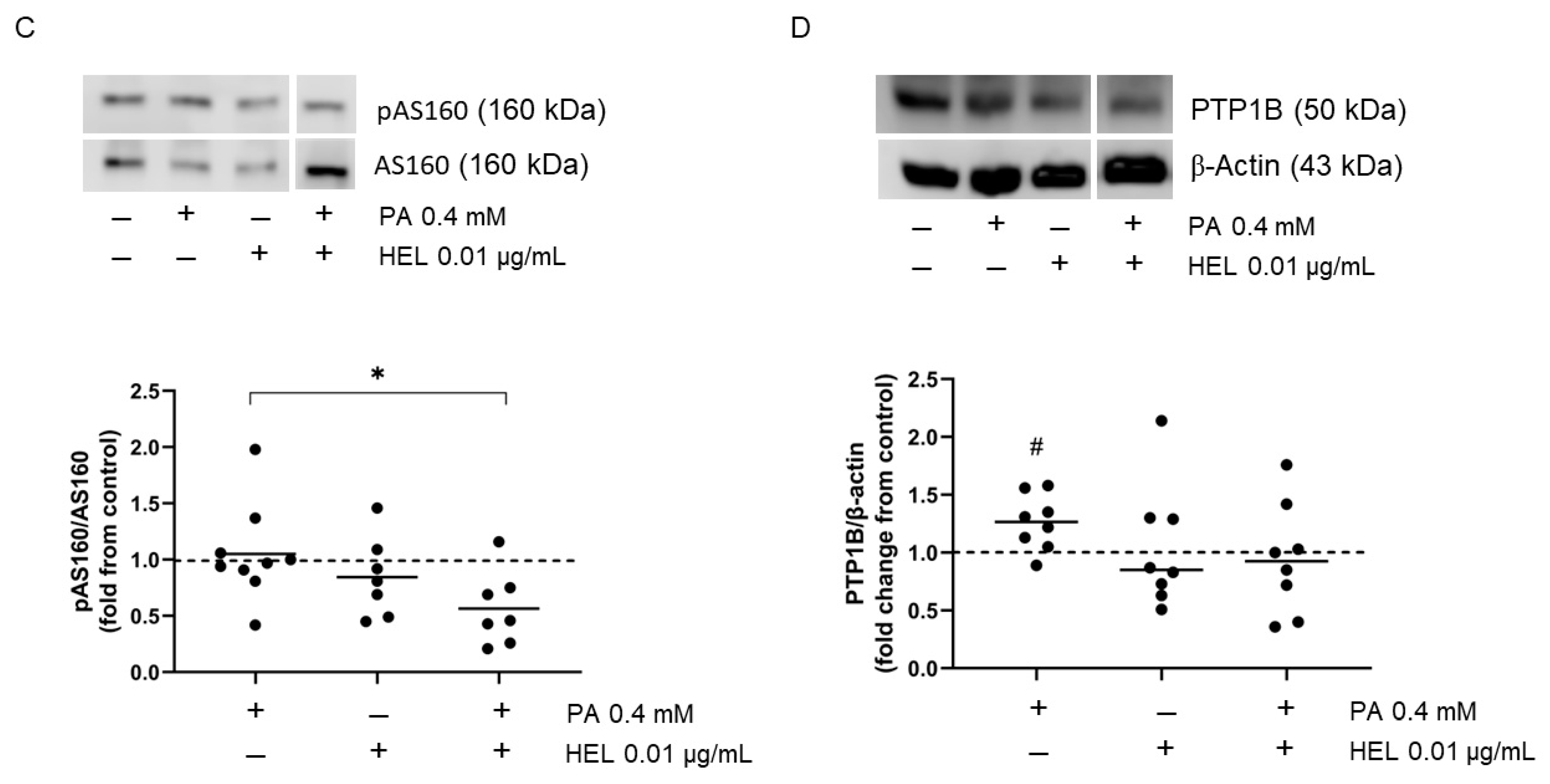 Pharmaceuticals 17 00566 g003b