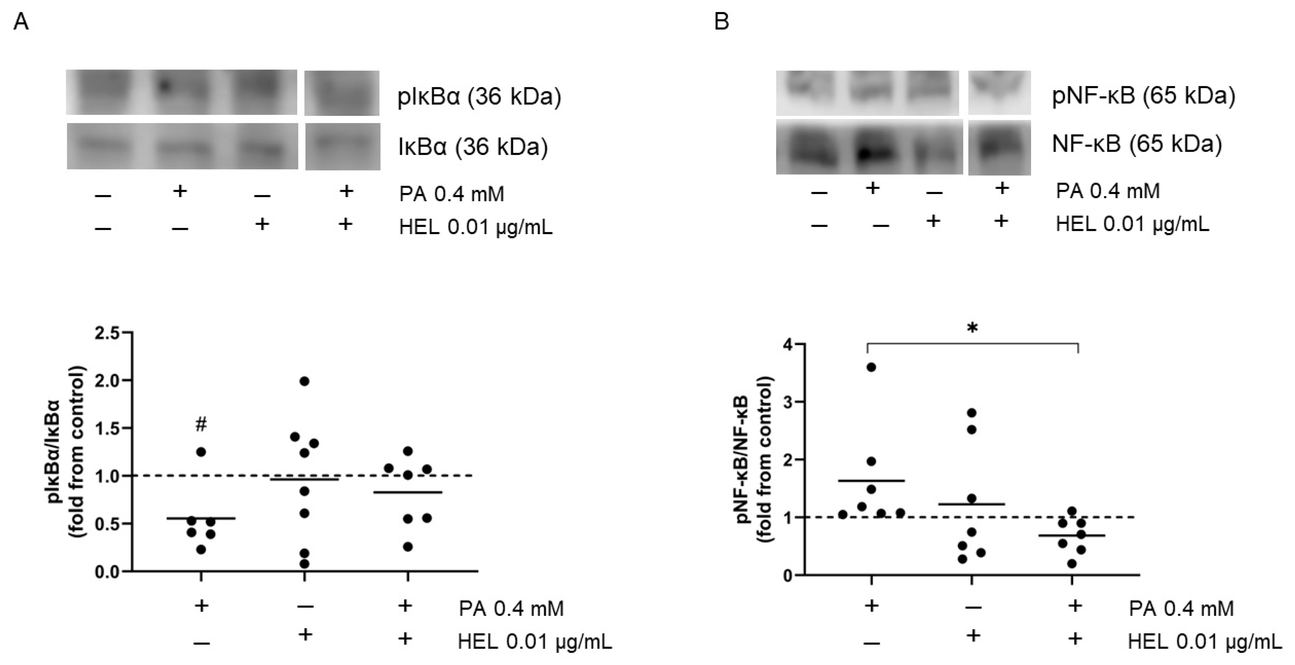 Pharmaceuticals 17 00566 g005