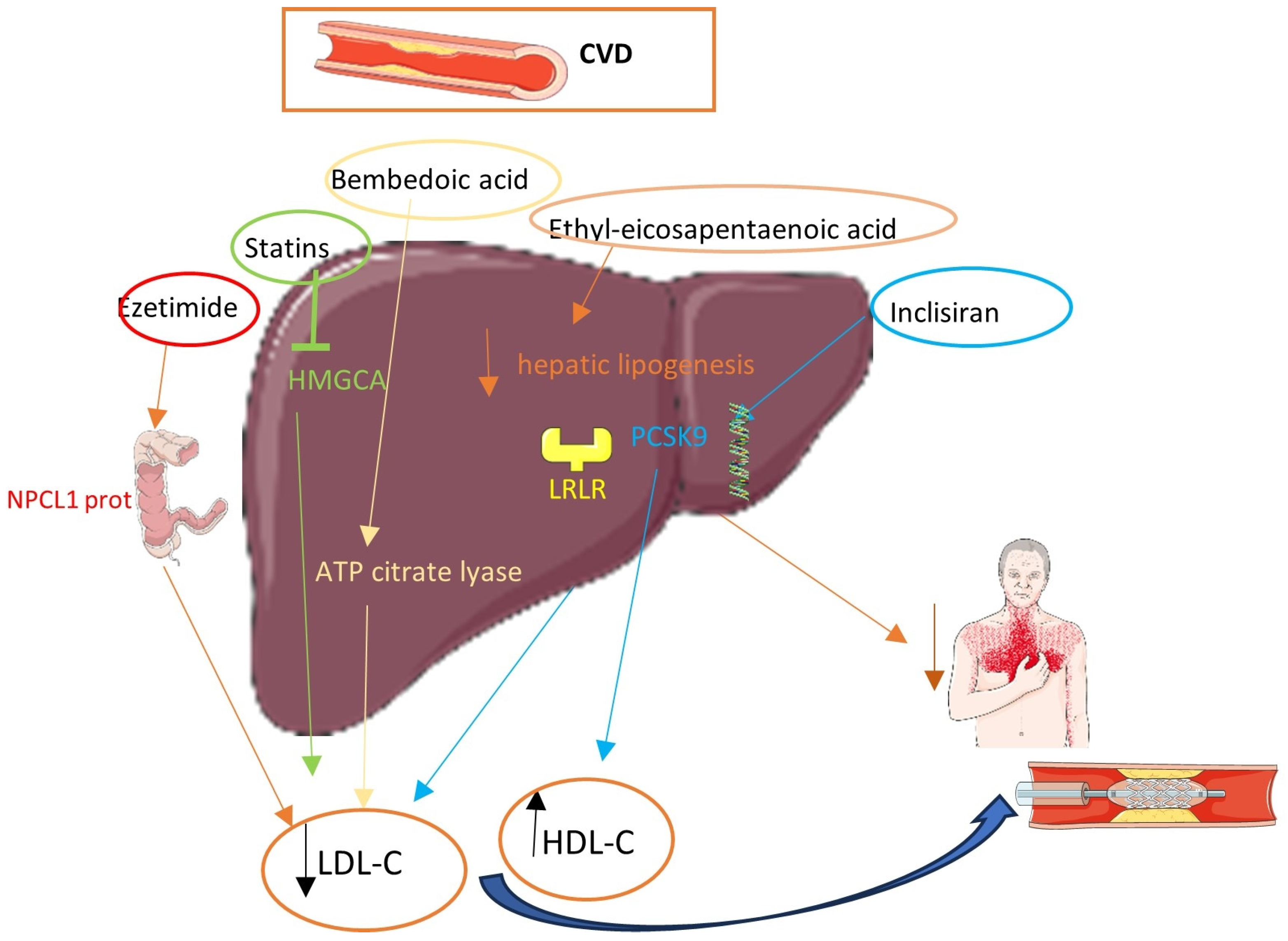 Pharmaceuticals 17 00568 g001
