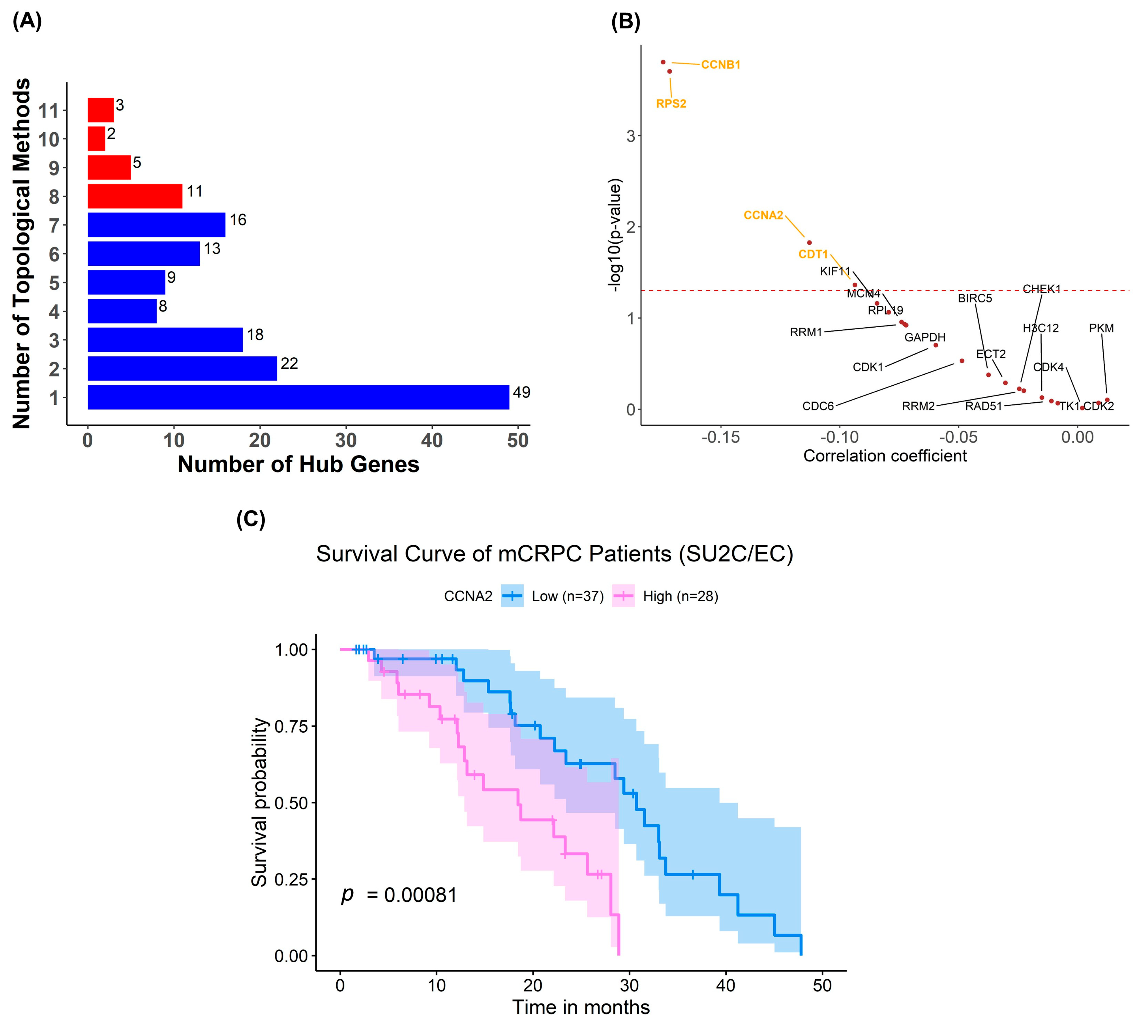 Pharmaceuticals 17 00569 g006