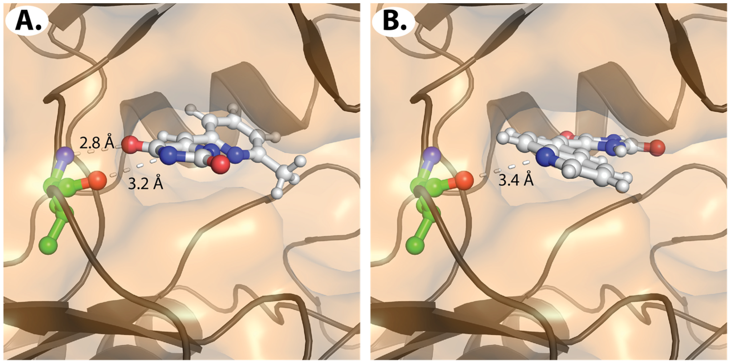 Pharmaceuticals 17 00570 g003