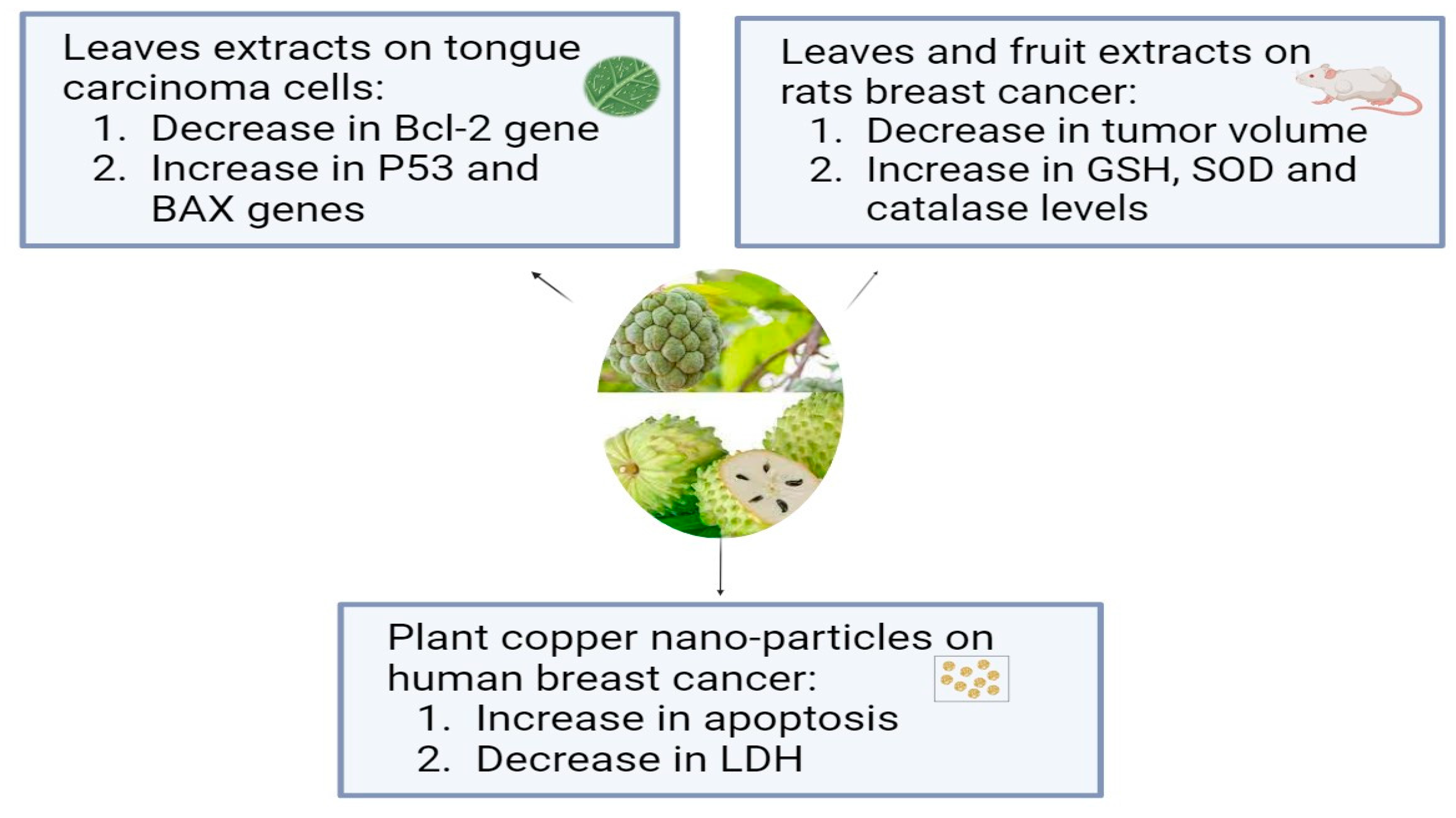 Pharmaceuticals 17 00574 g001