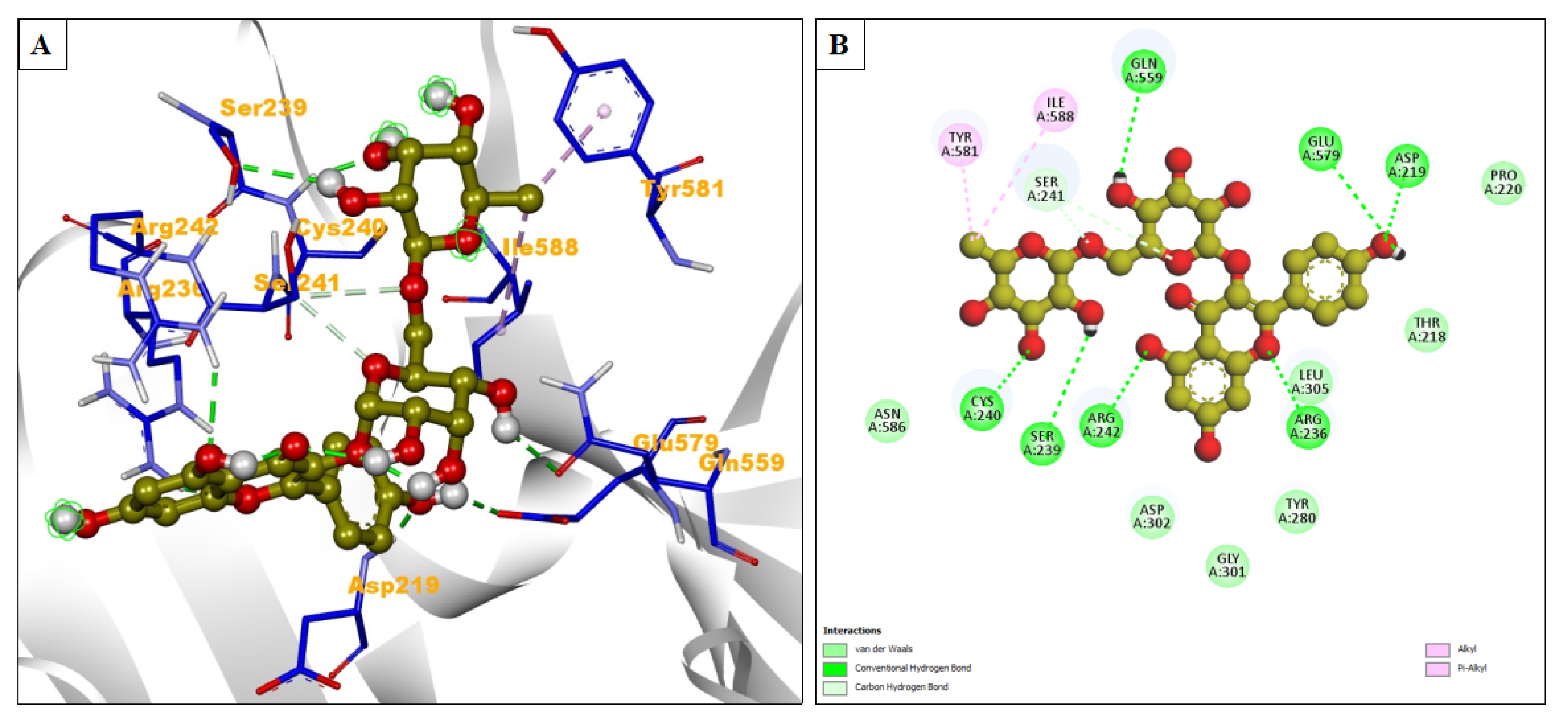 Pharmaceuticals 17 00581 g006