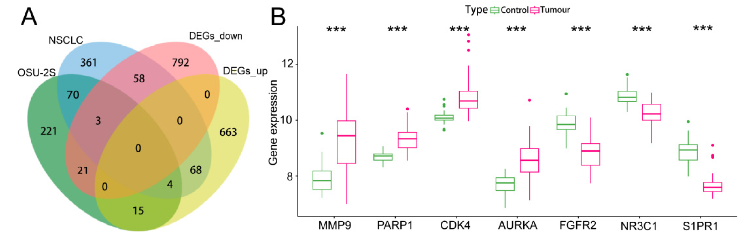 Pharmaceuticals 17 00582 g003 Pharmaceuticals 17 00582 g003
