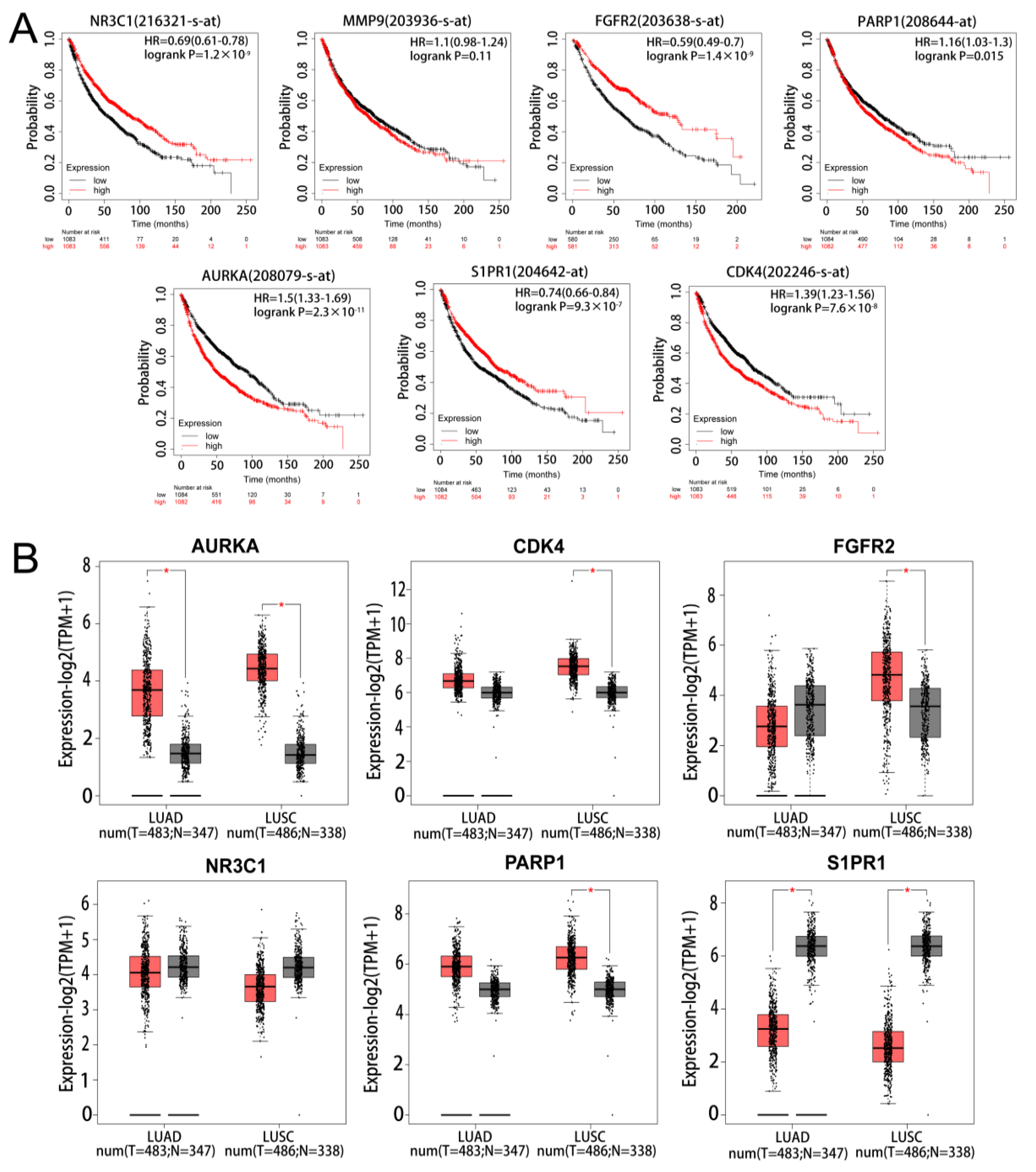 Pharmaceuticals 17 00582 g004 Pharmaceuticals 17 00582 g004