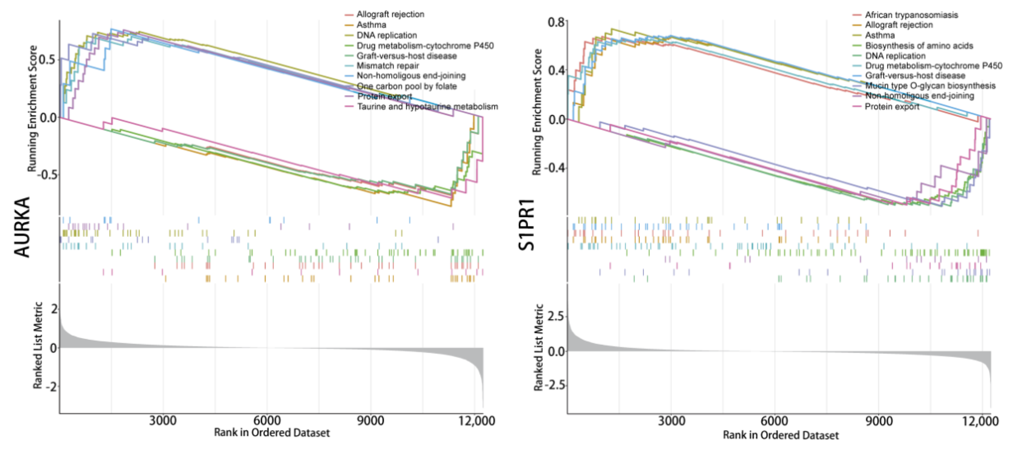Pharmaceuticals 17 00582 g005 Pharmaceuticals 17 00582 g005
