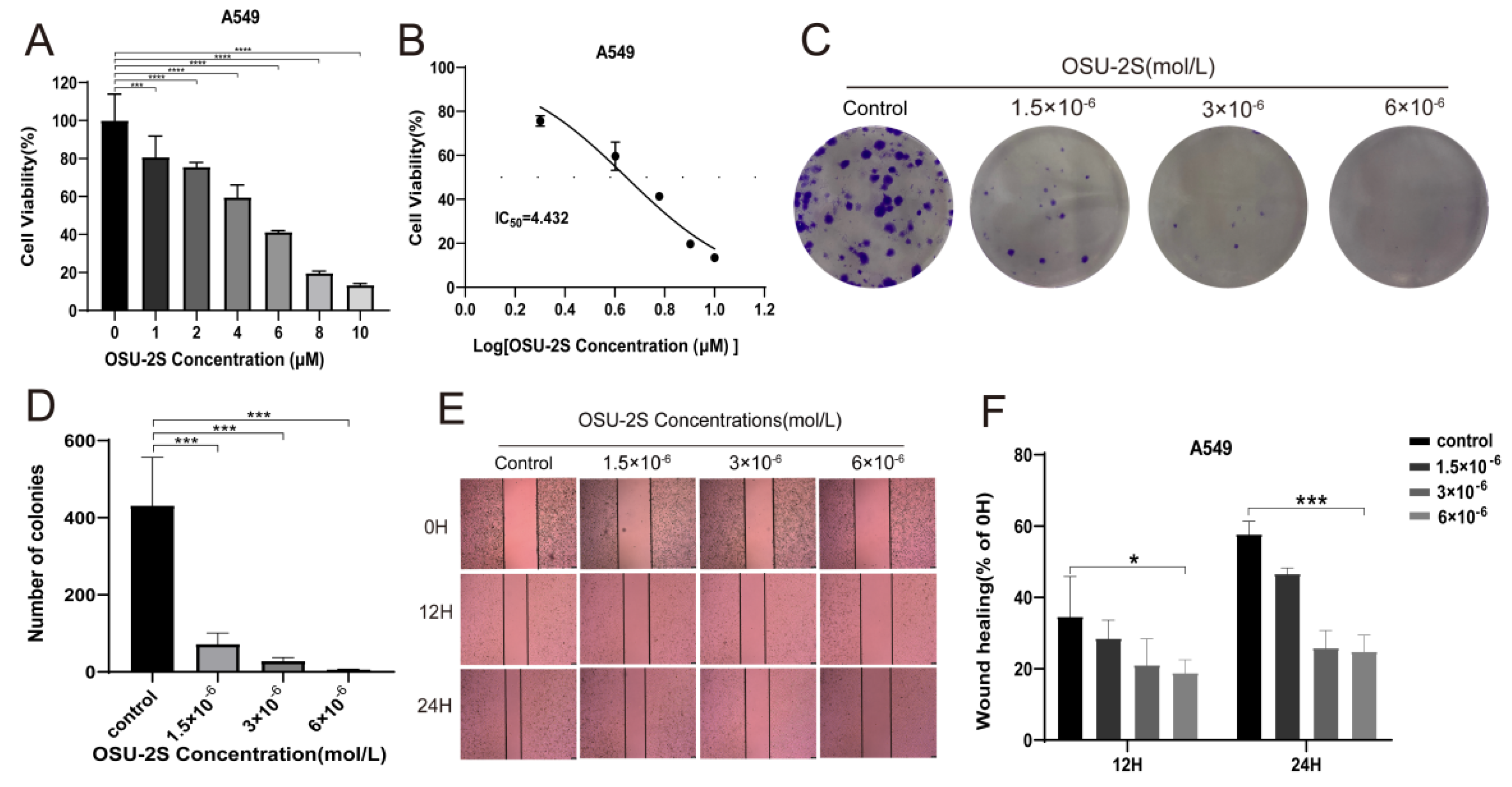 Pharmaceuticals 17 00582 g006 Pharmaceuticals 17 00582 g006