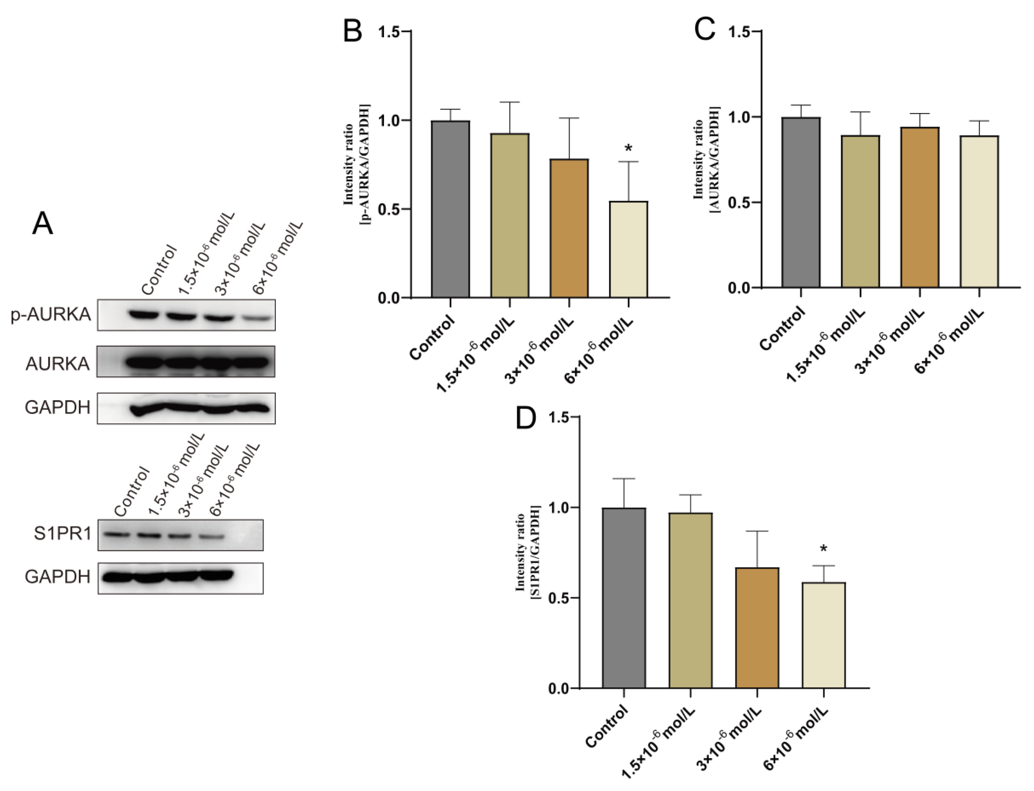 Pharmaceuticals 17 00582 g007 Pharmaceuticals 17 00582 g007