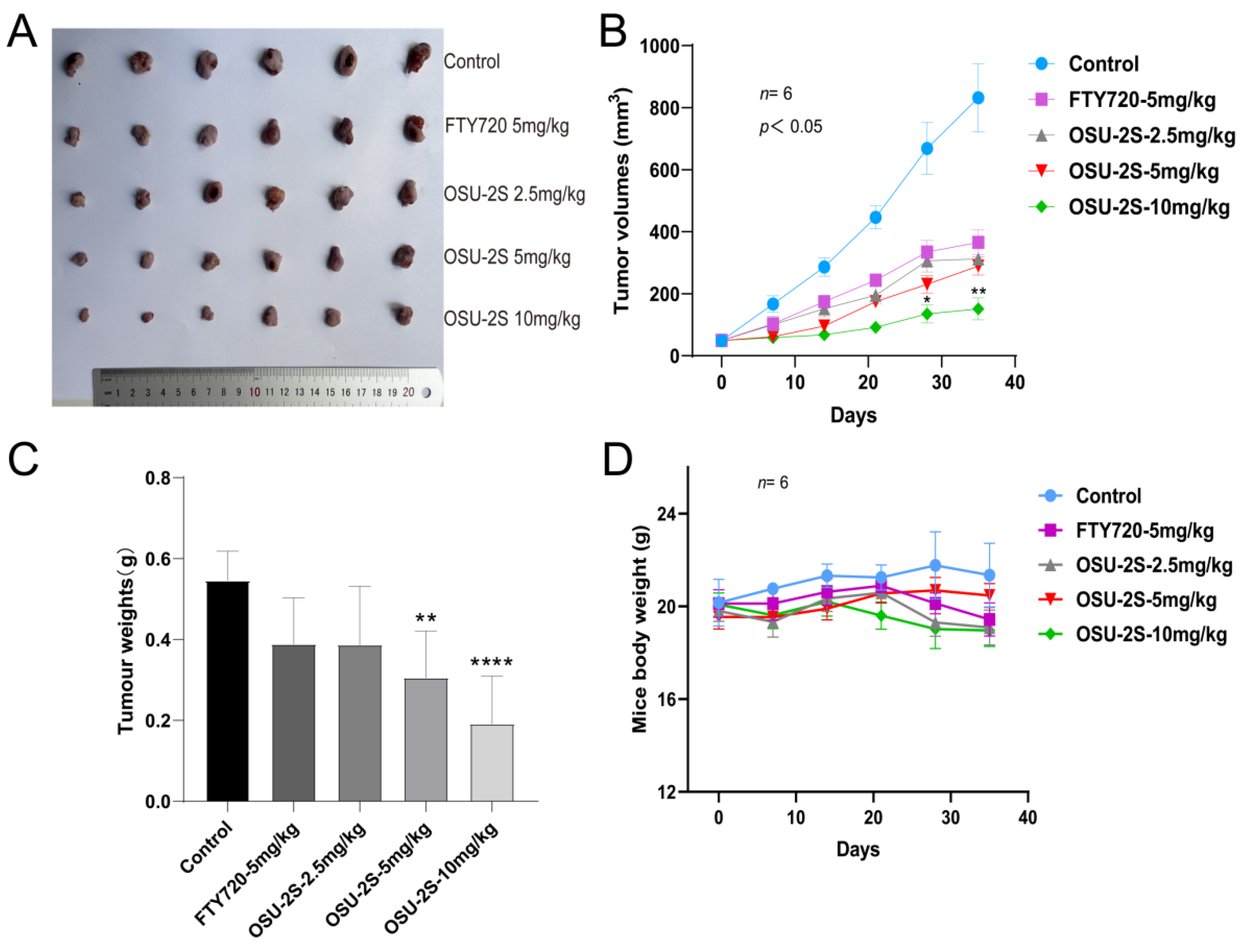 Pharmaceuticals 17 00582 g008 Pharmaceuticals 17 00582 g008