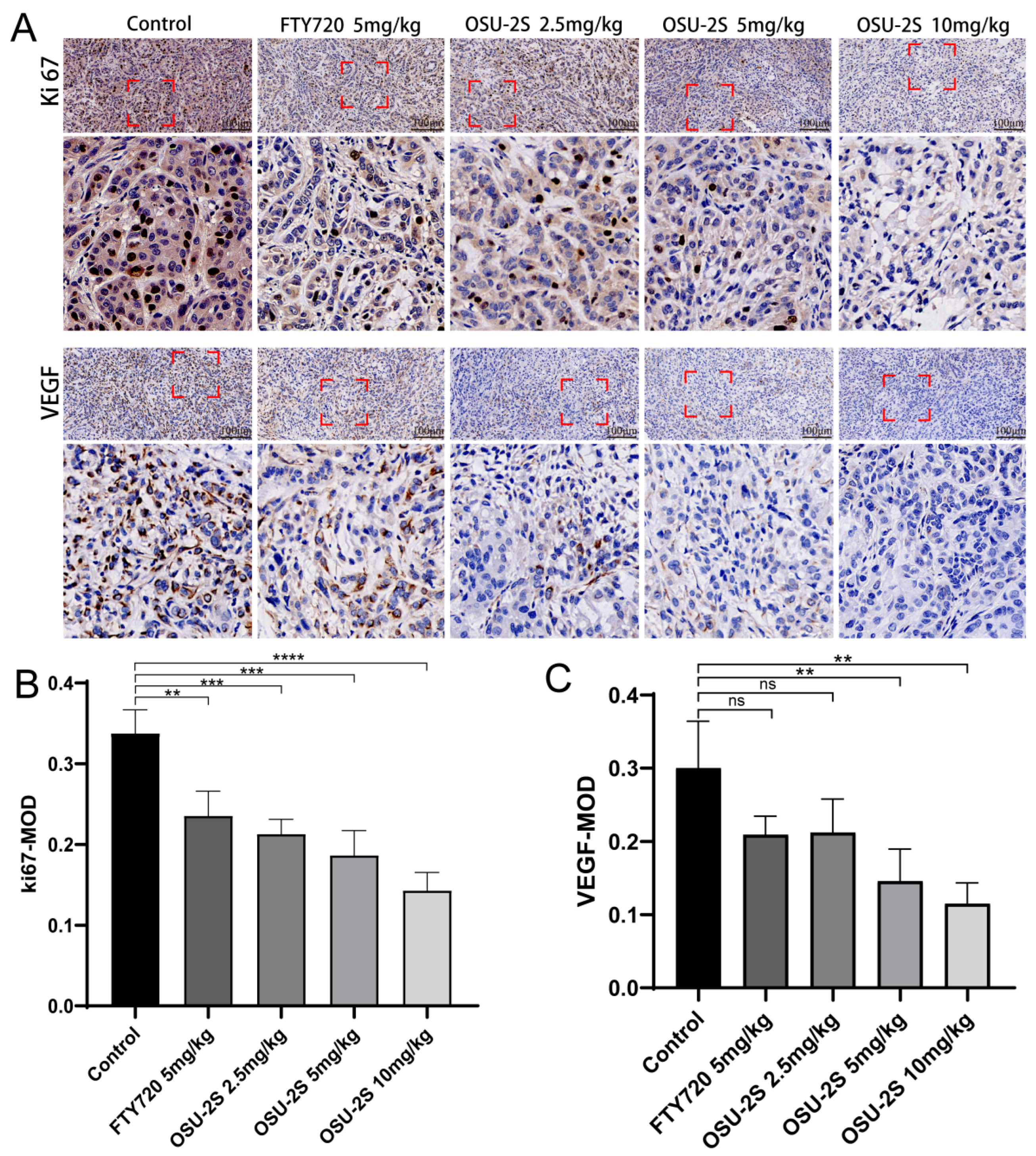 Pharmaceuticals 17 00582 g009 Pharmaceuticals 17 00582 g009