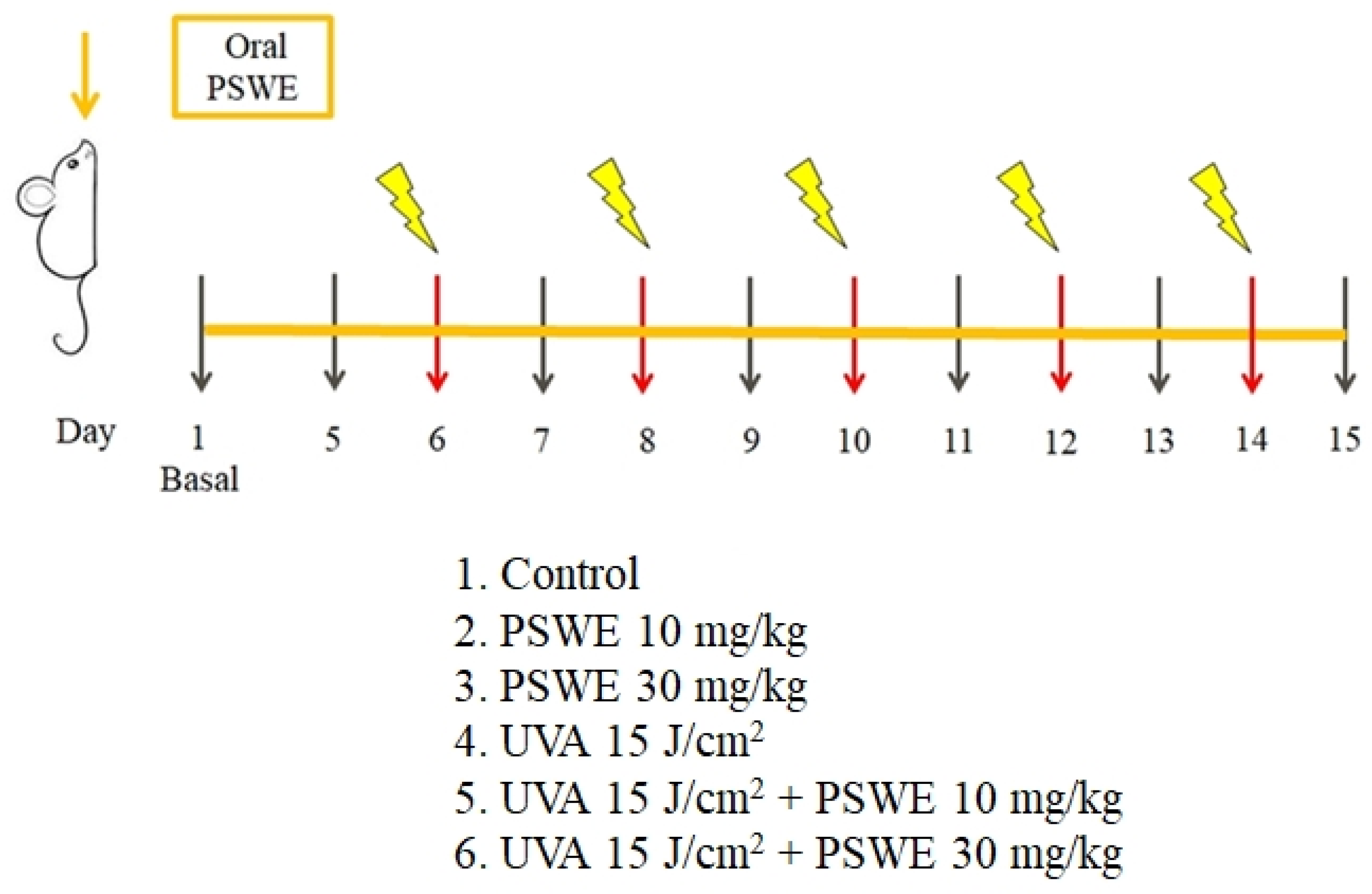 Pharmaceuticals 17 00583 g012 Pharmaceuticals 17 00583 g012