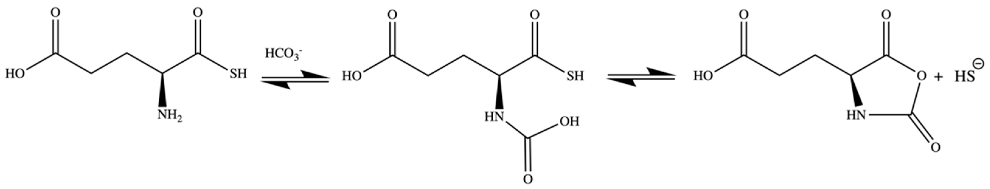 Pharmaceuticals 17 00585 g004