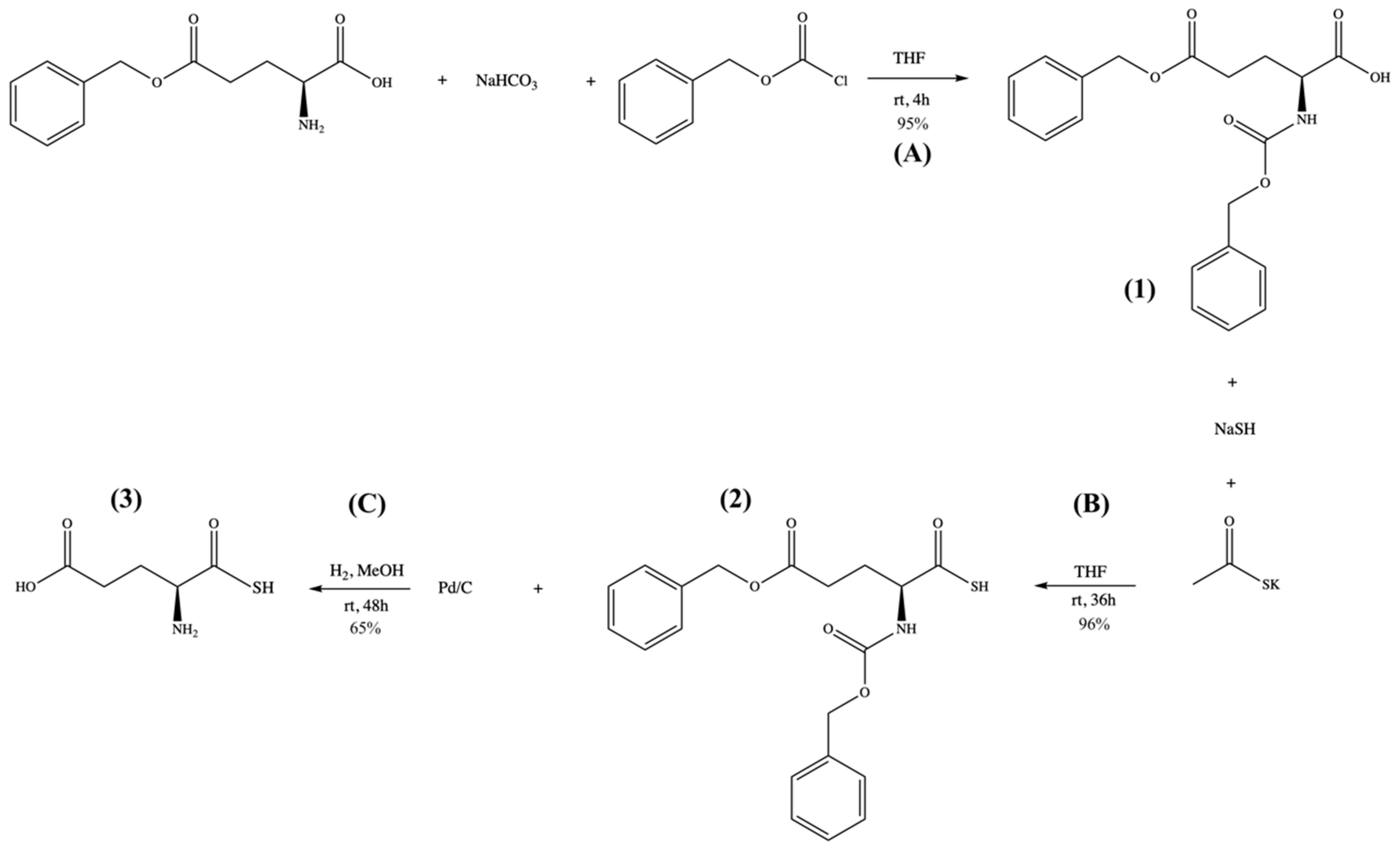 Pharmaceuticals 17 00585 sch001
