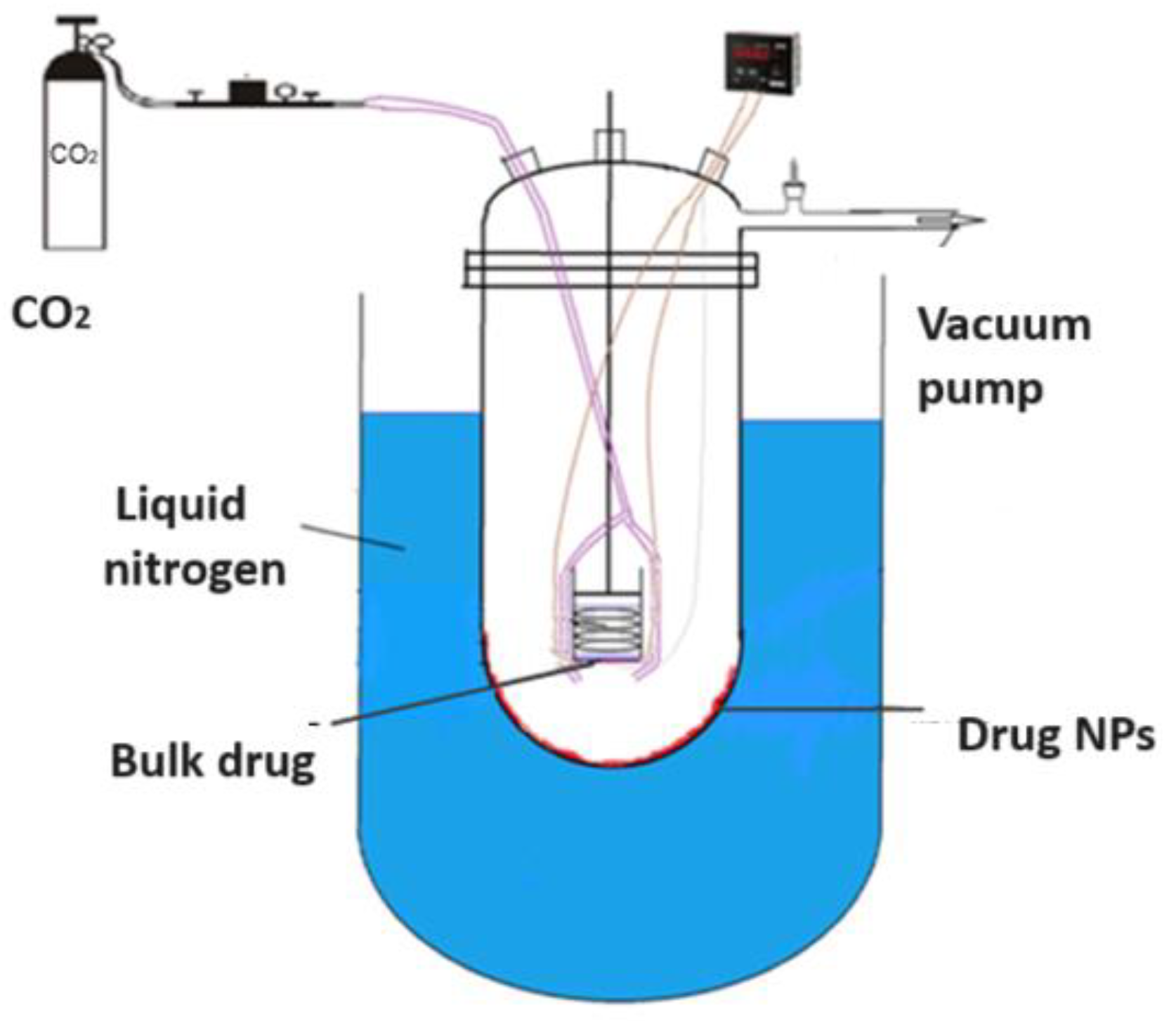 Pharmaceuticals 17 00587 g007