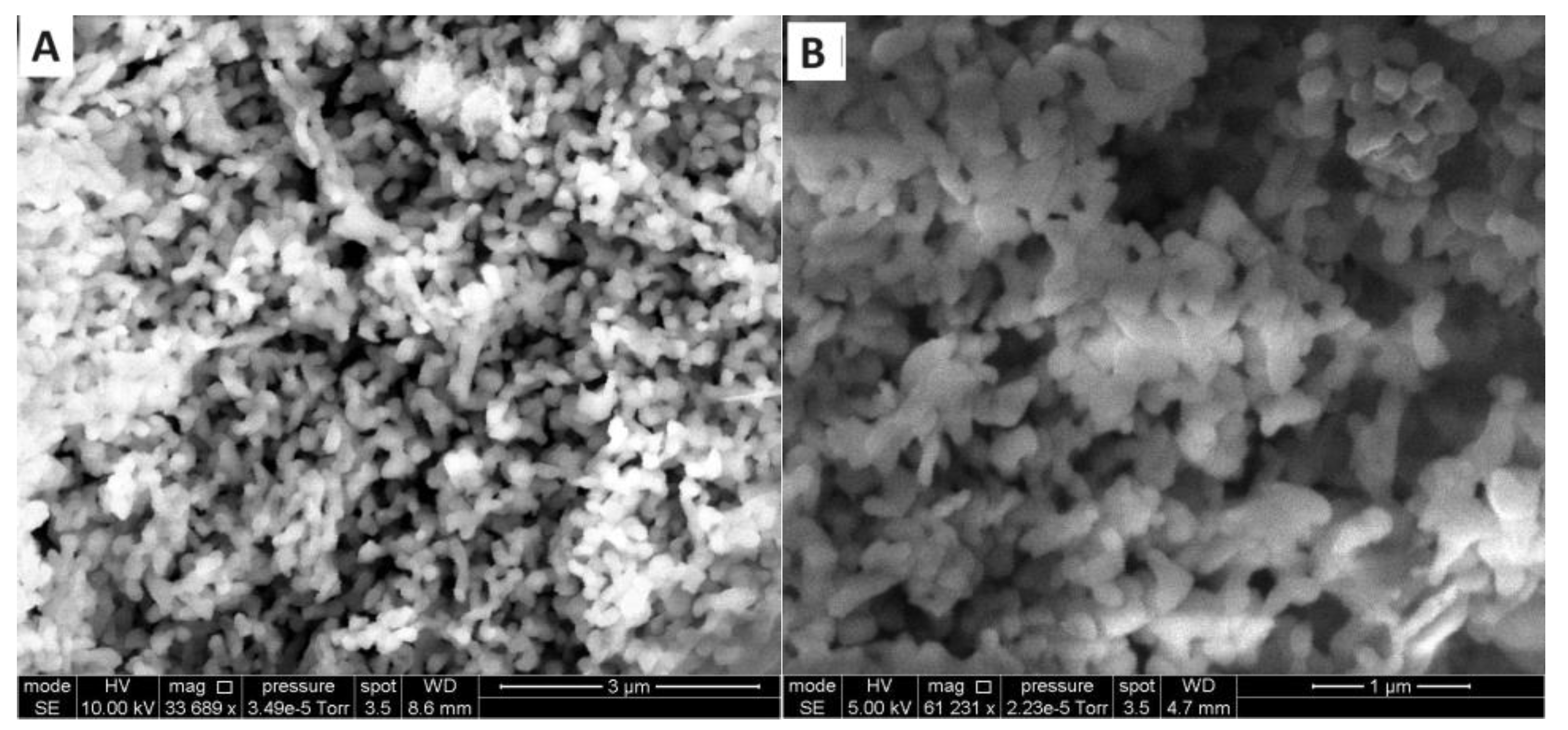 Pharmaceuticals 17 00587 g016