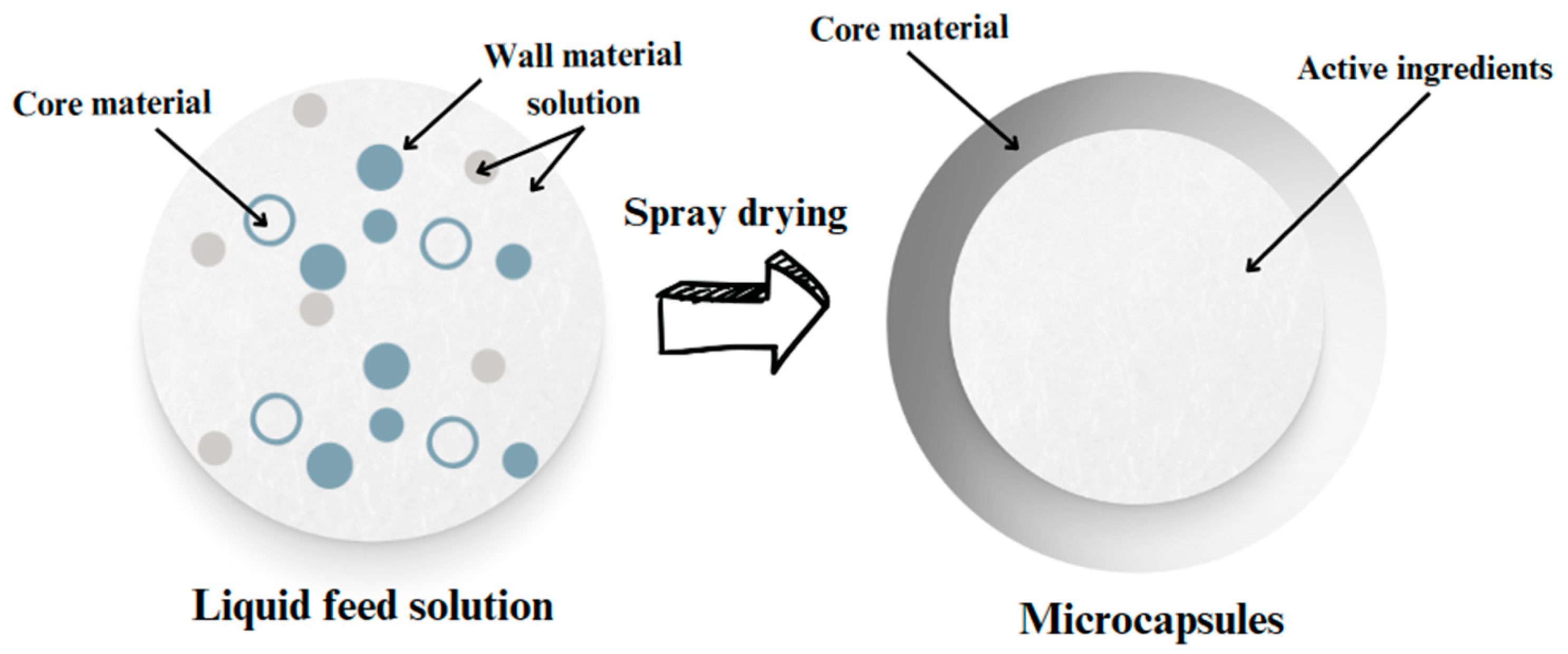 Pharmaceuticals 17 00596 g001