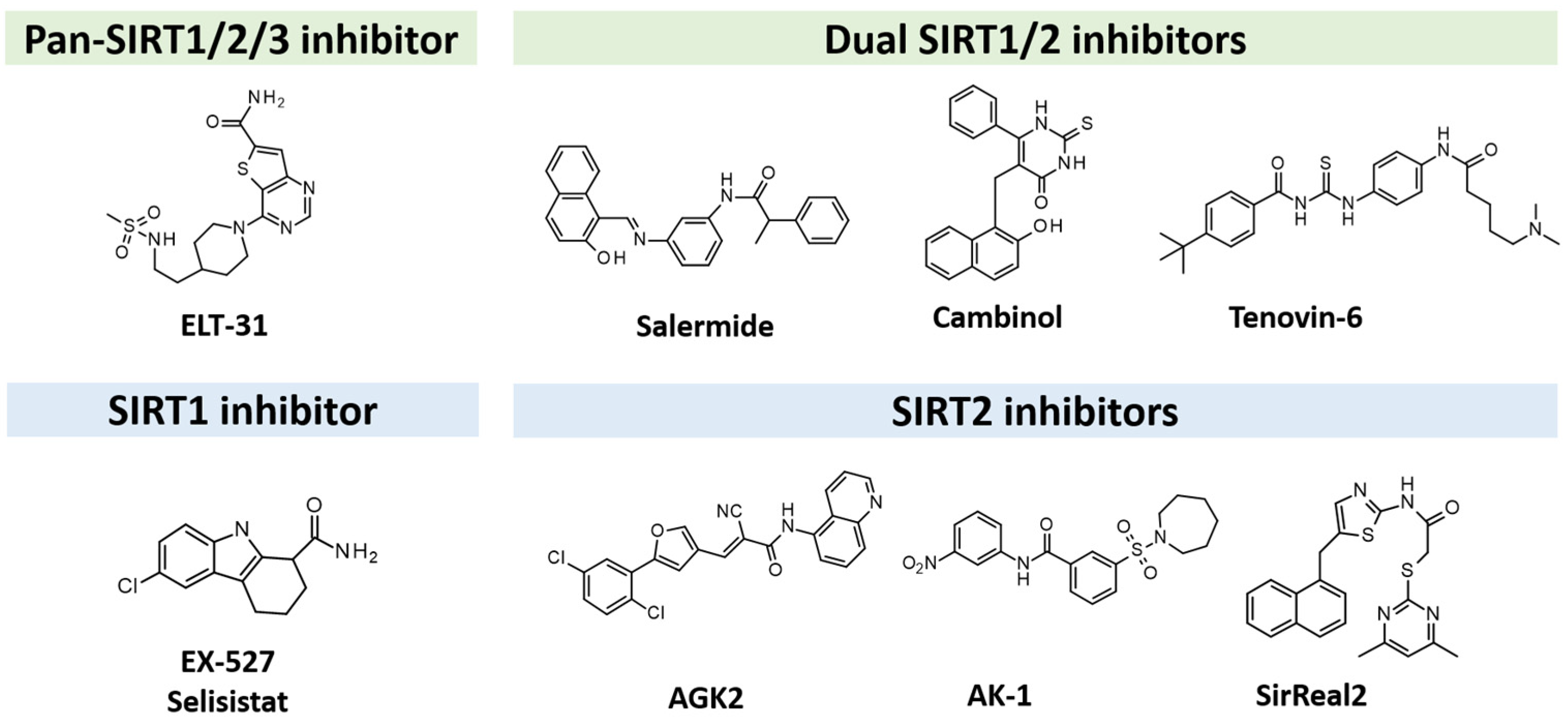 Pharmaceuticals 17 00601 g001