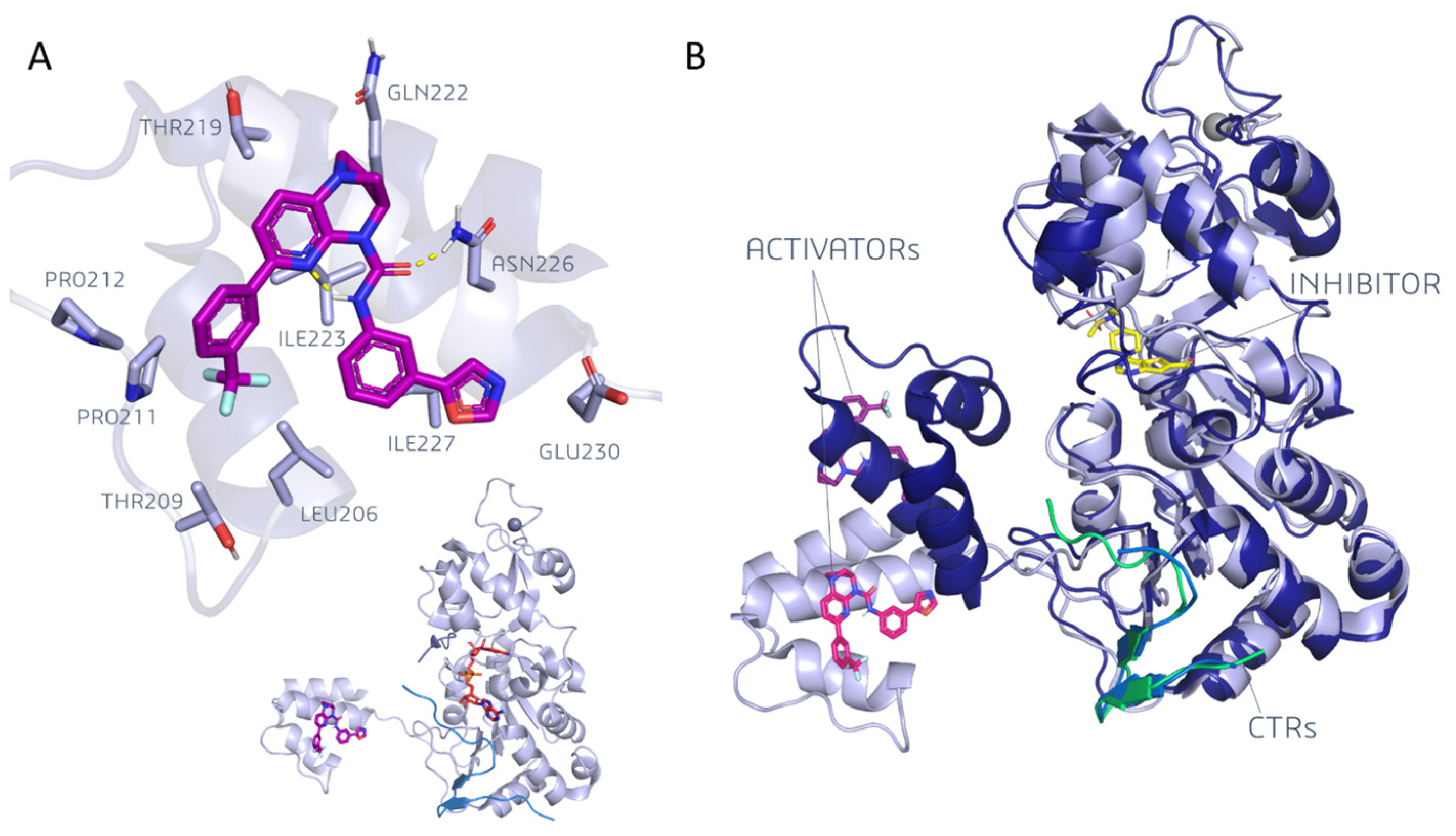 Pharmaceuticals 17 00601 g004