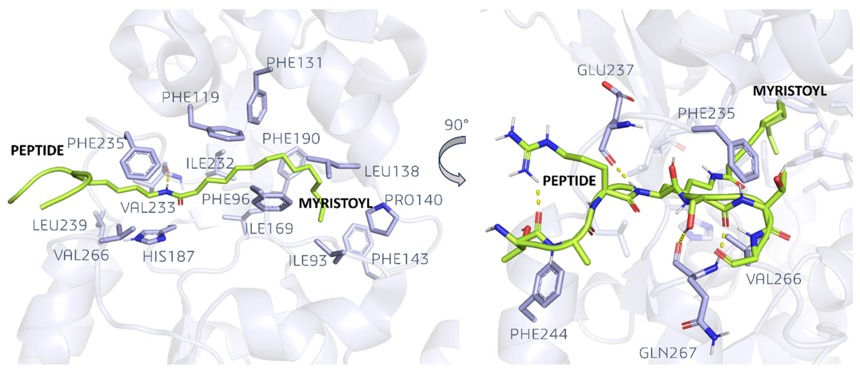 Pharmaceuticals 17 00601 g005