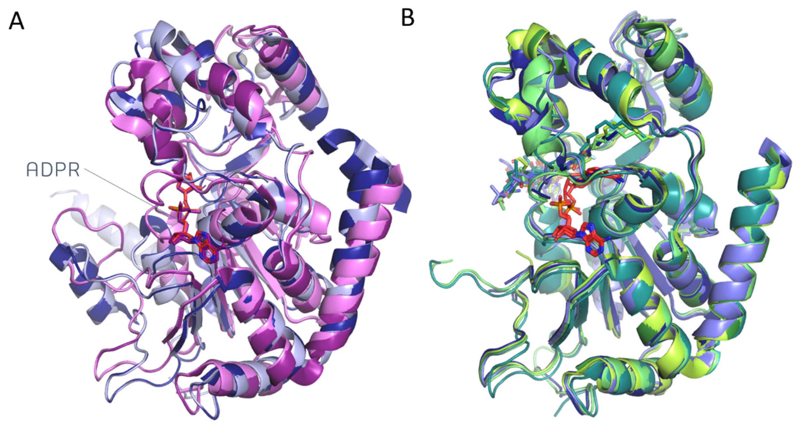 Pharmaceuticals 17 00601 g006