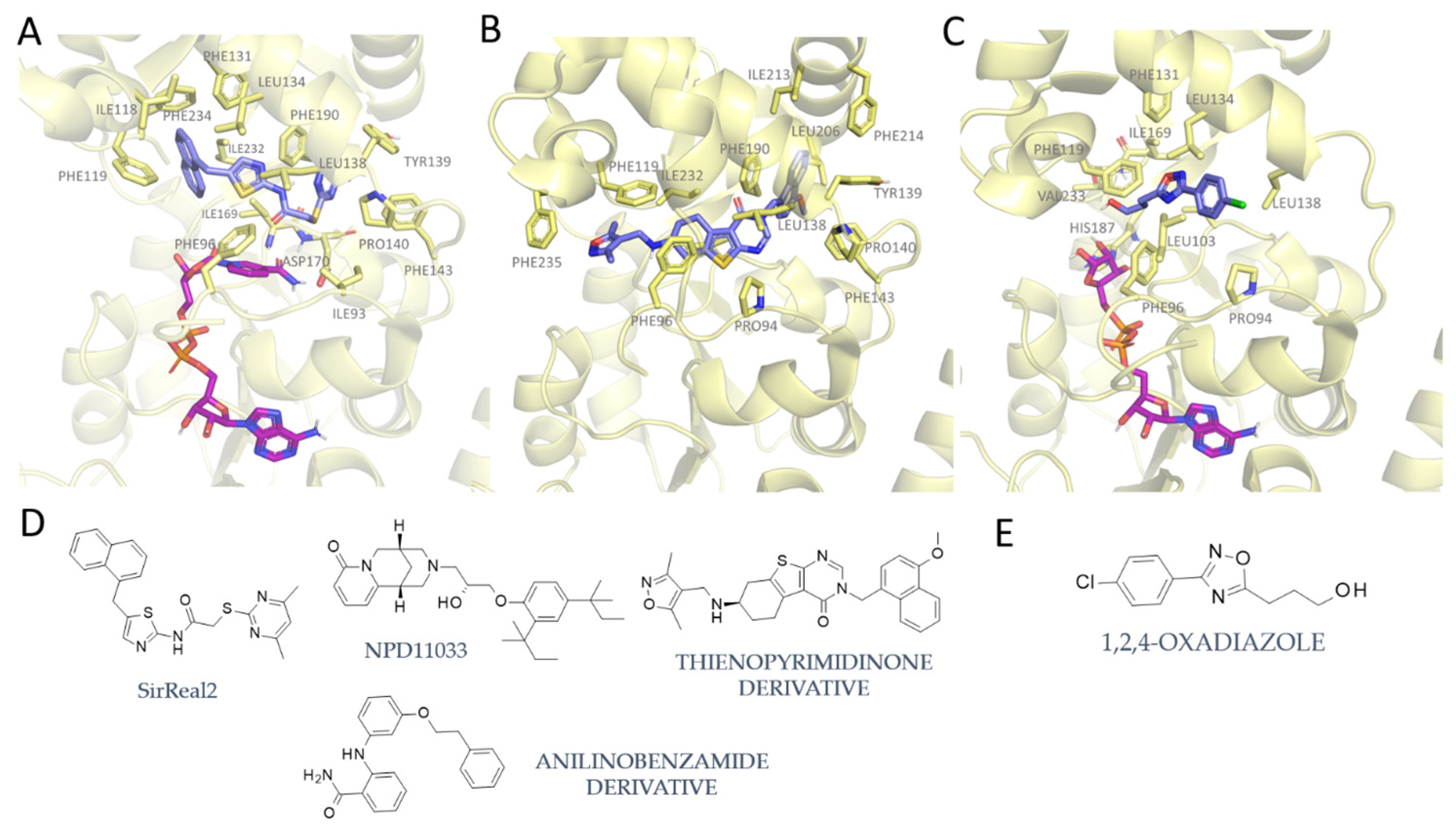 Pharmaceuticals 17 00601 g007