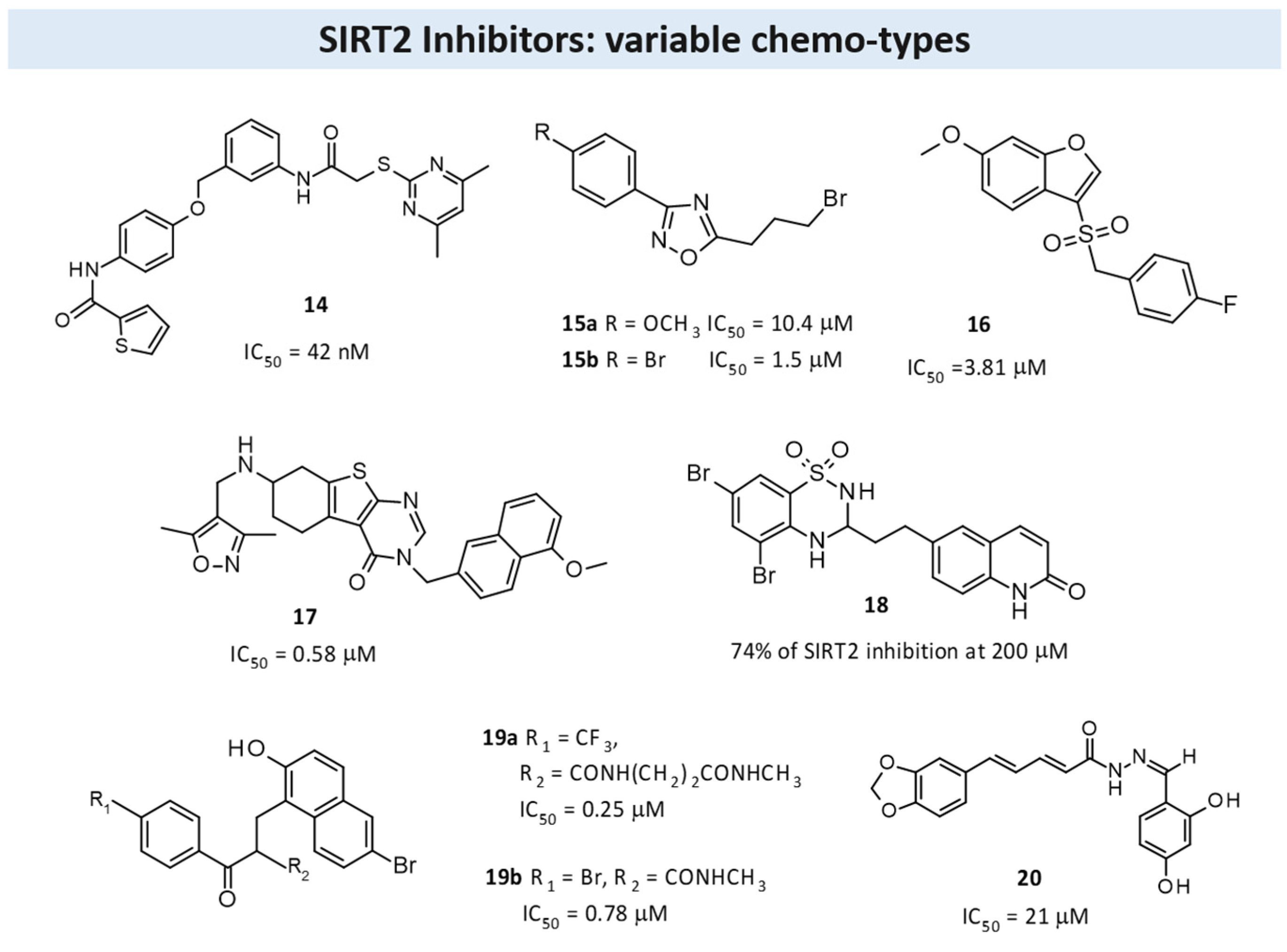 Pharmaceuticals 17 00601 g010